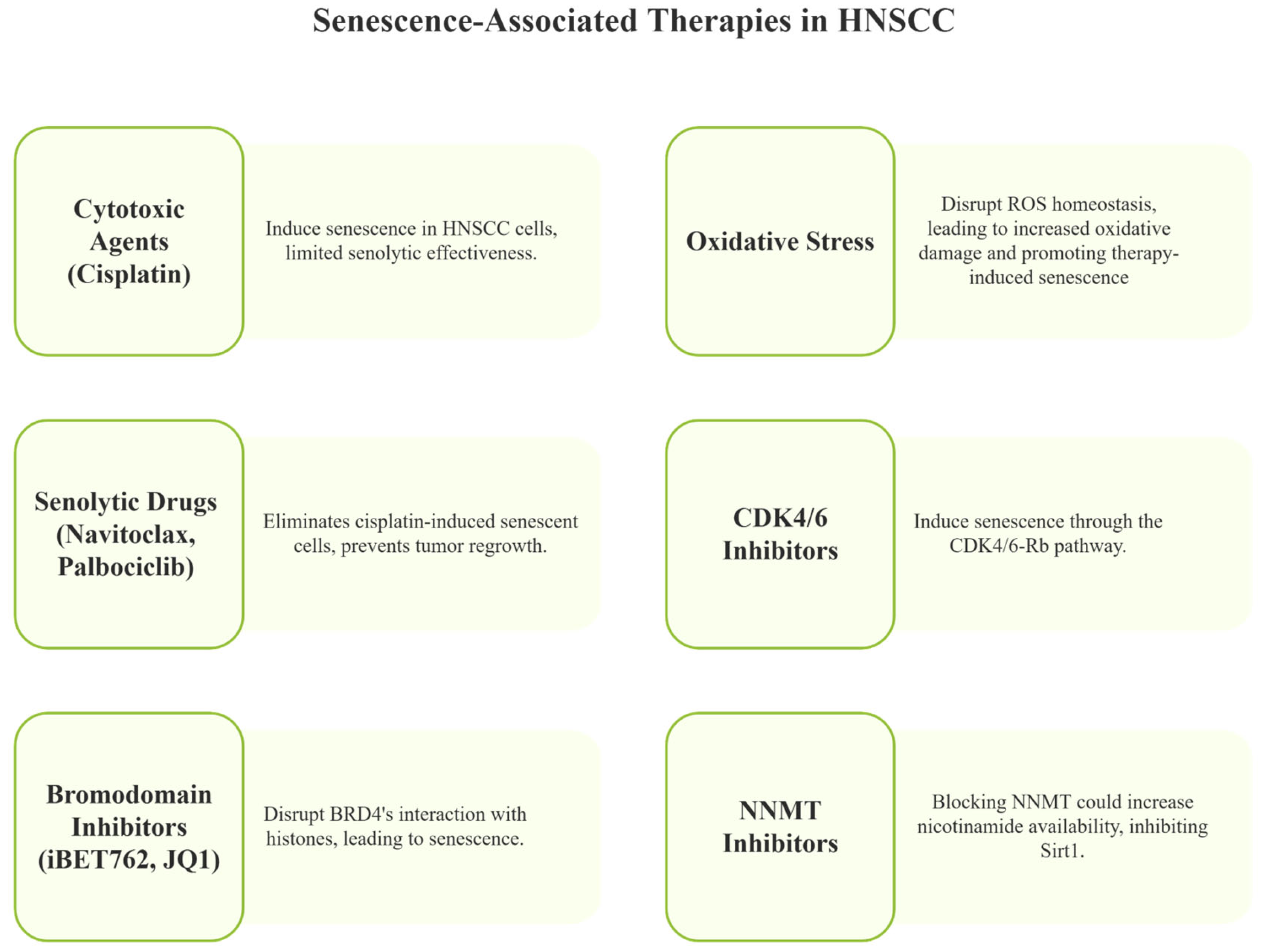 Cancers 17 01965 g004