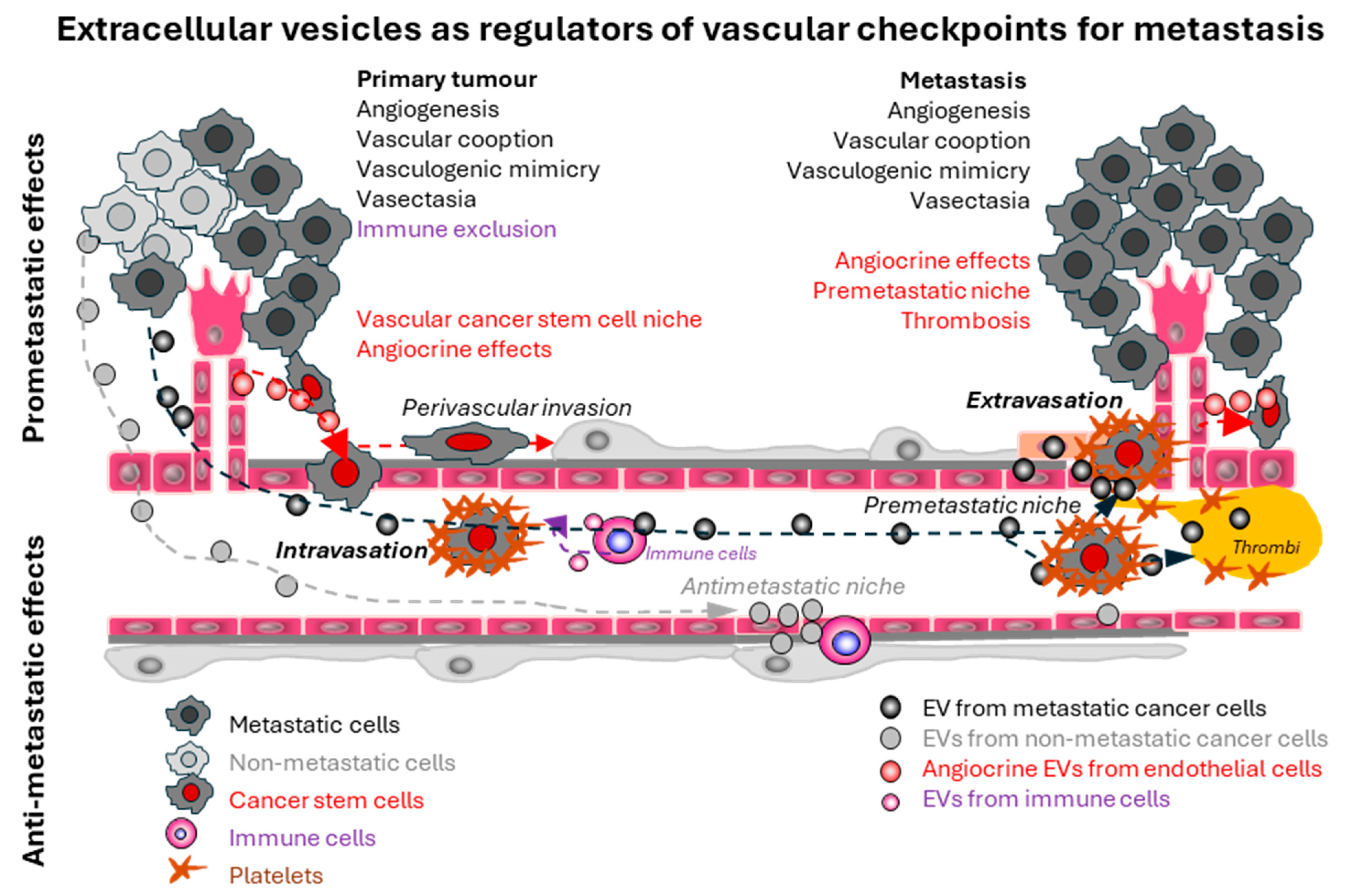 Cancers 17 01966 g001