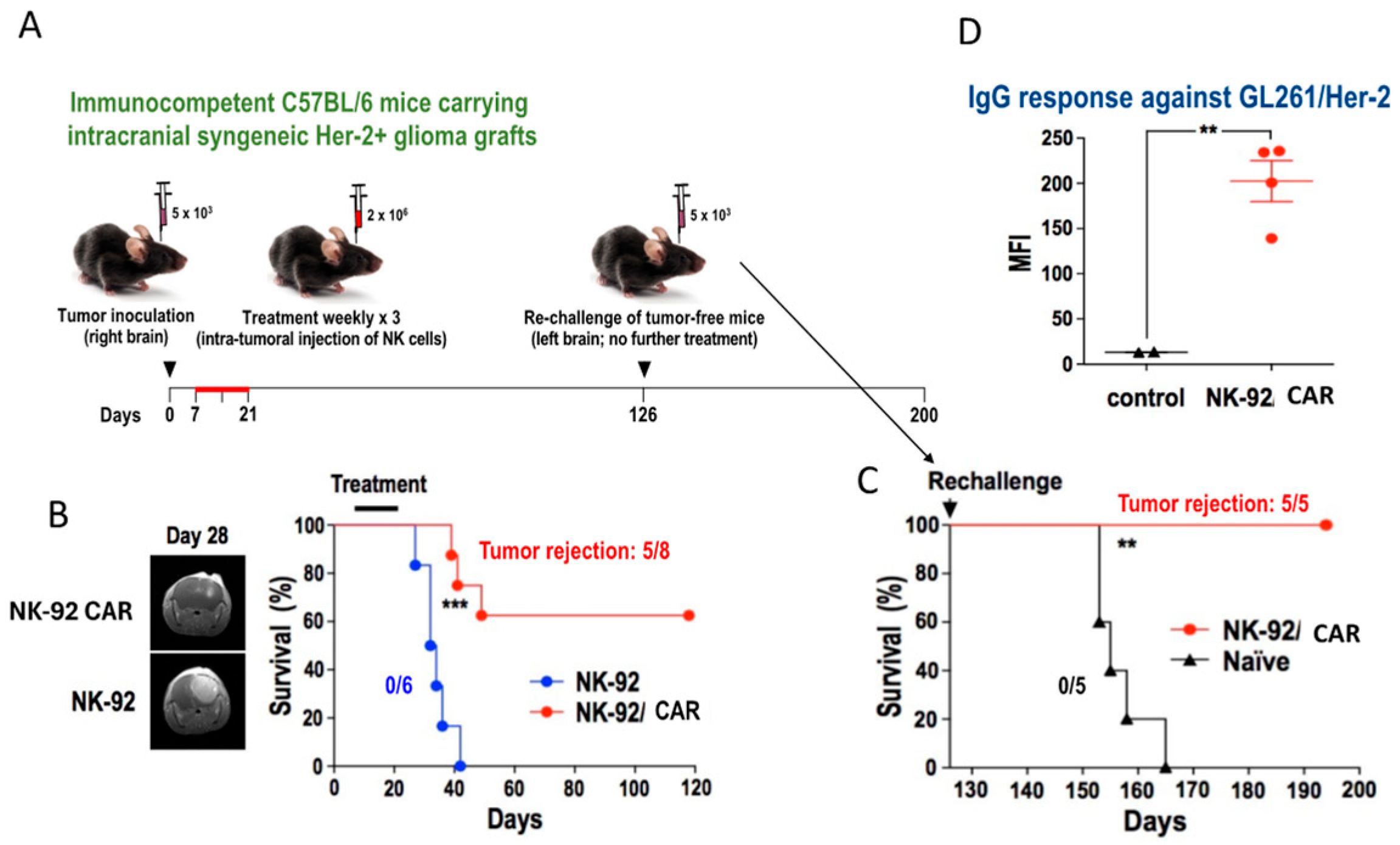 Cancers 17 01968 g003