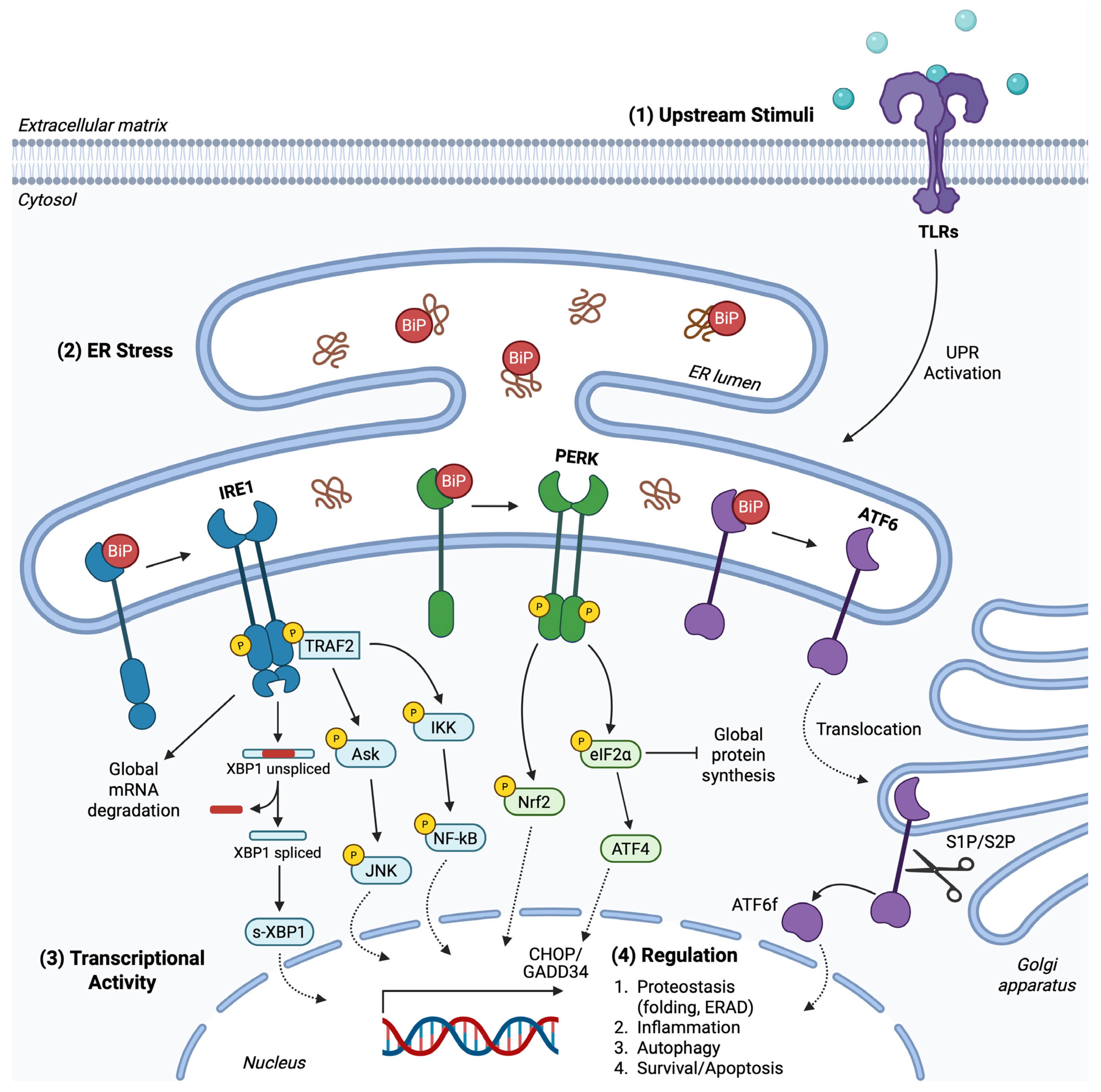 Cancers 17 01972 g001