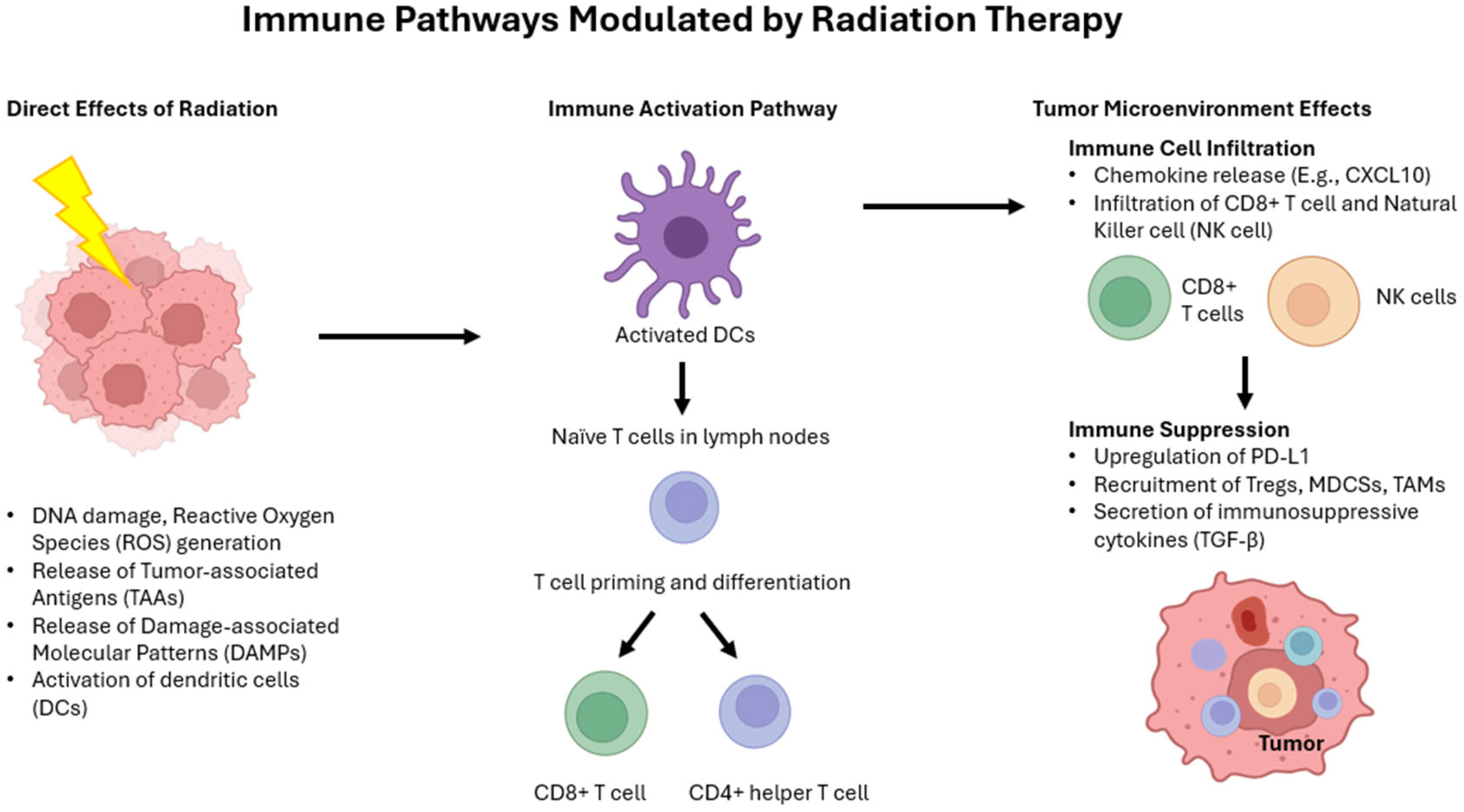 Cancers 17 01980 g004