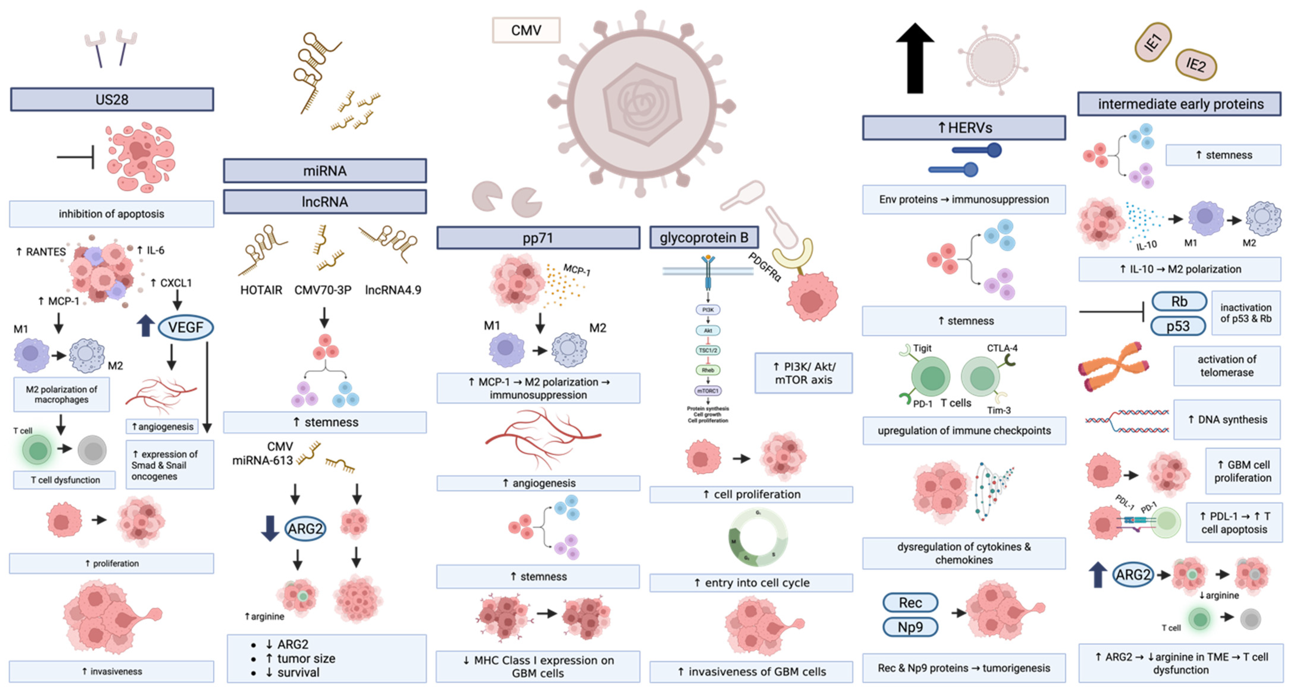 Cancers 17 01984 g004