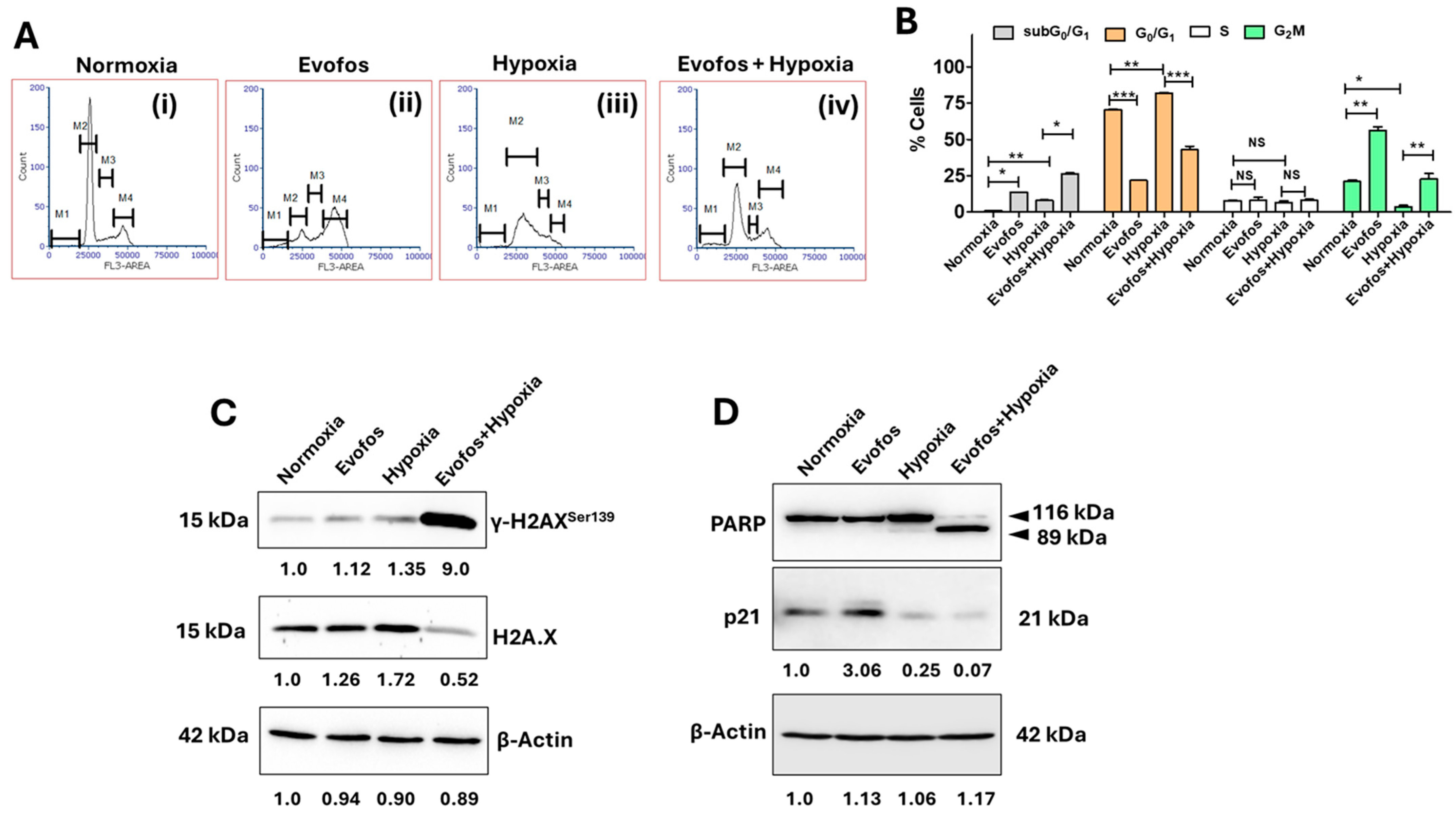 Cancers 17 01988 g004