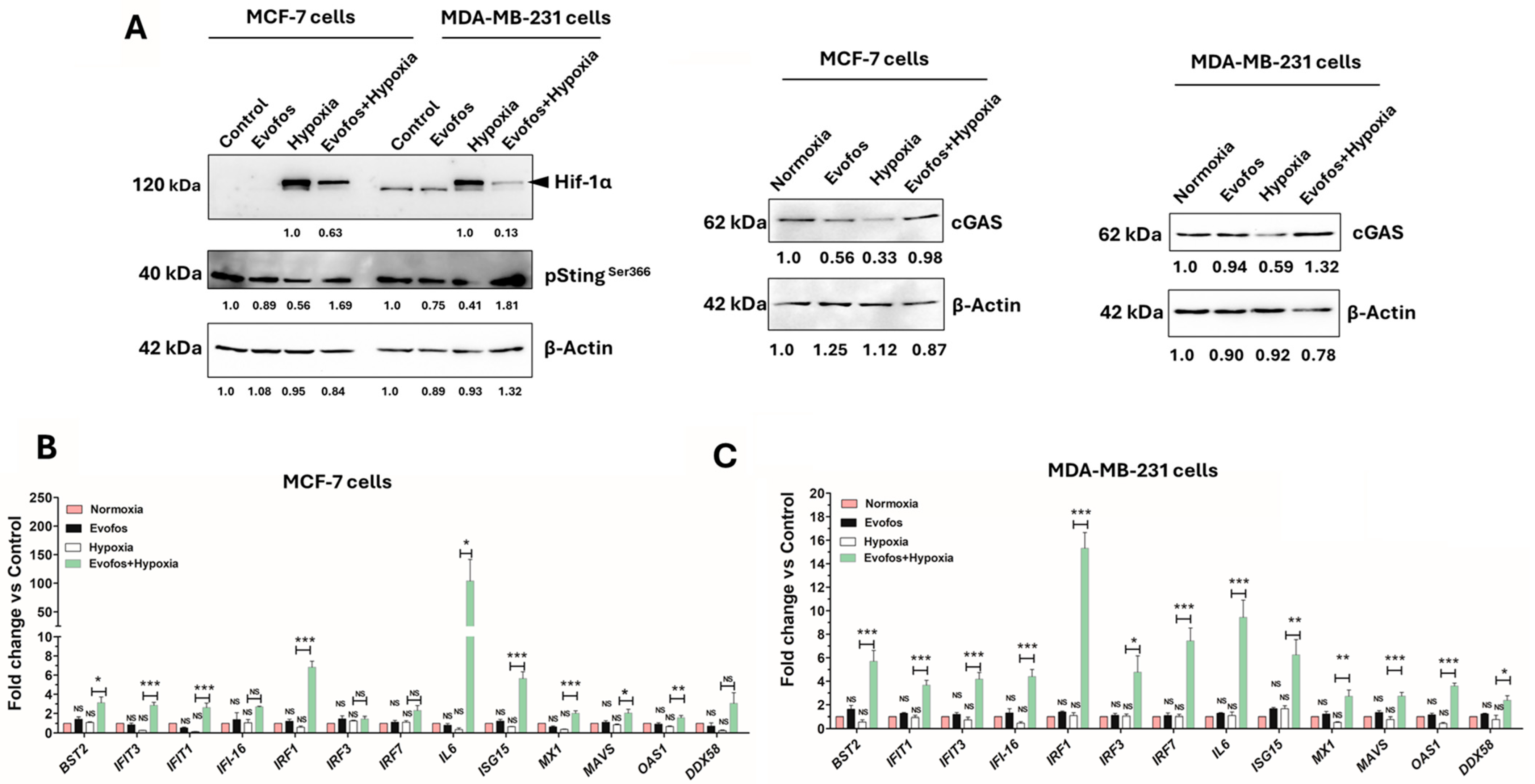 Cancers 17 01988 g006