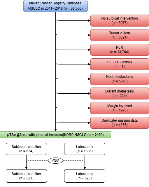 Cancers 17 01990 g001