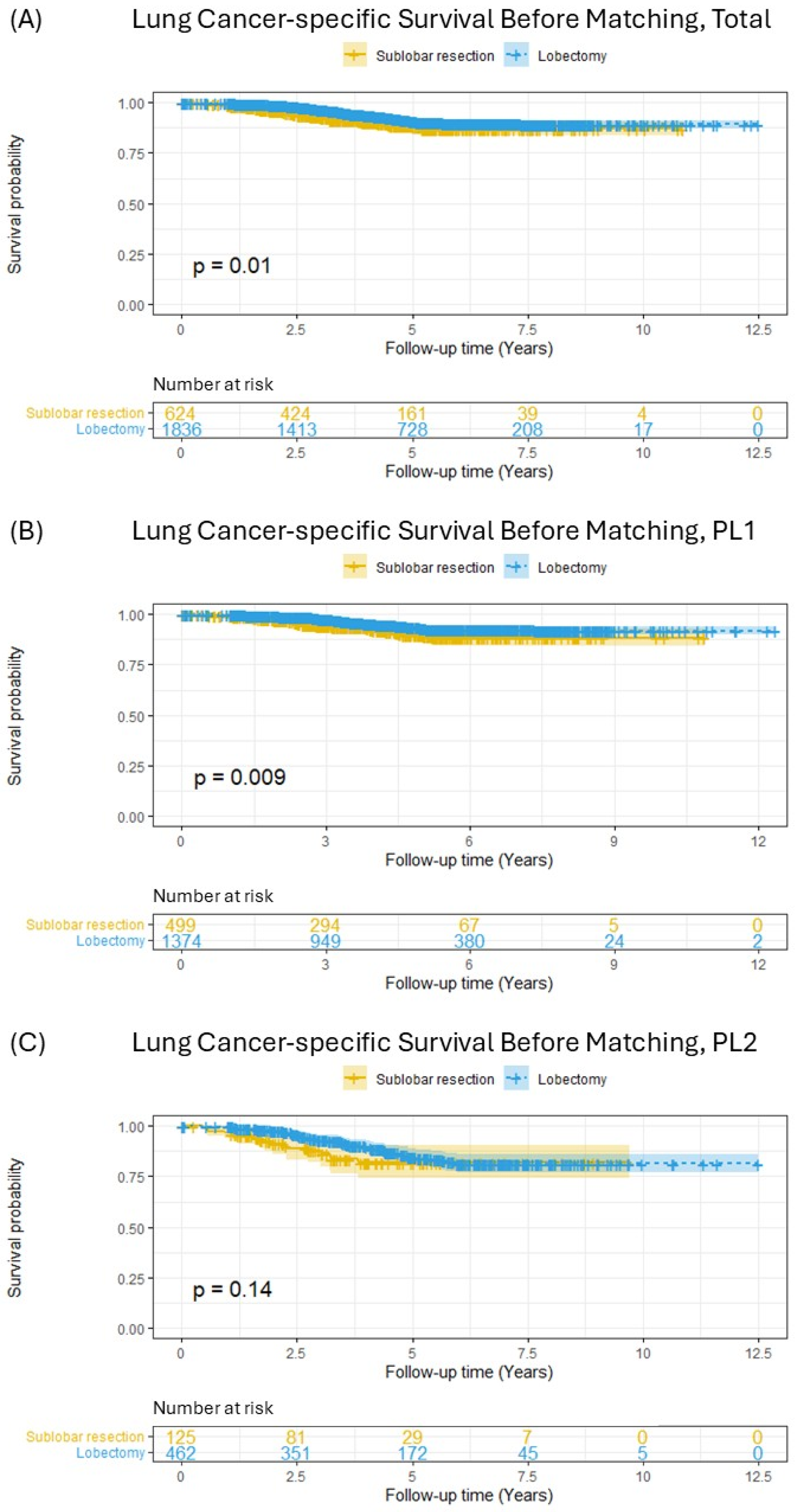 Cancers 17 01990 g002