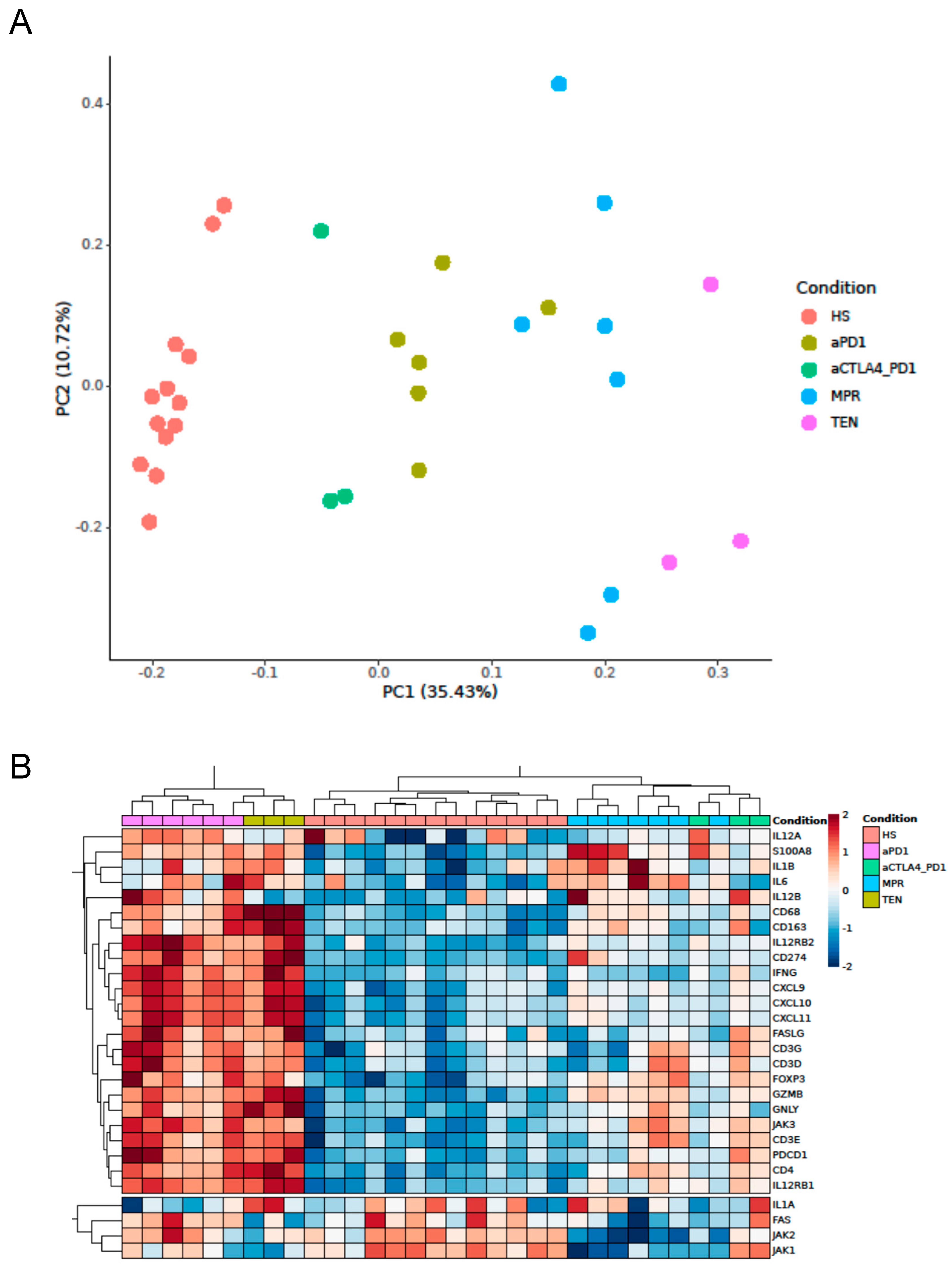 Cancers 17 01992 g001a