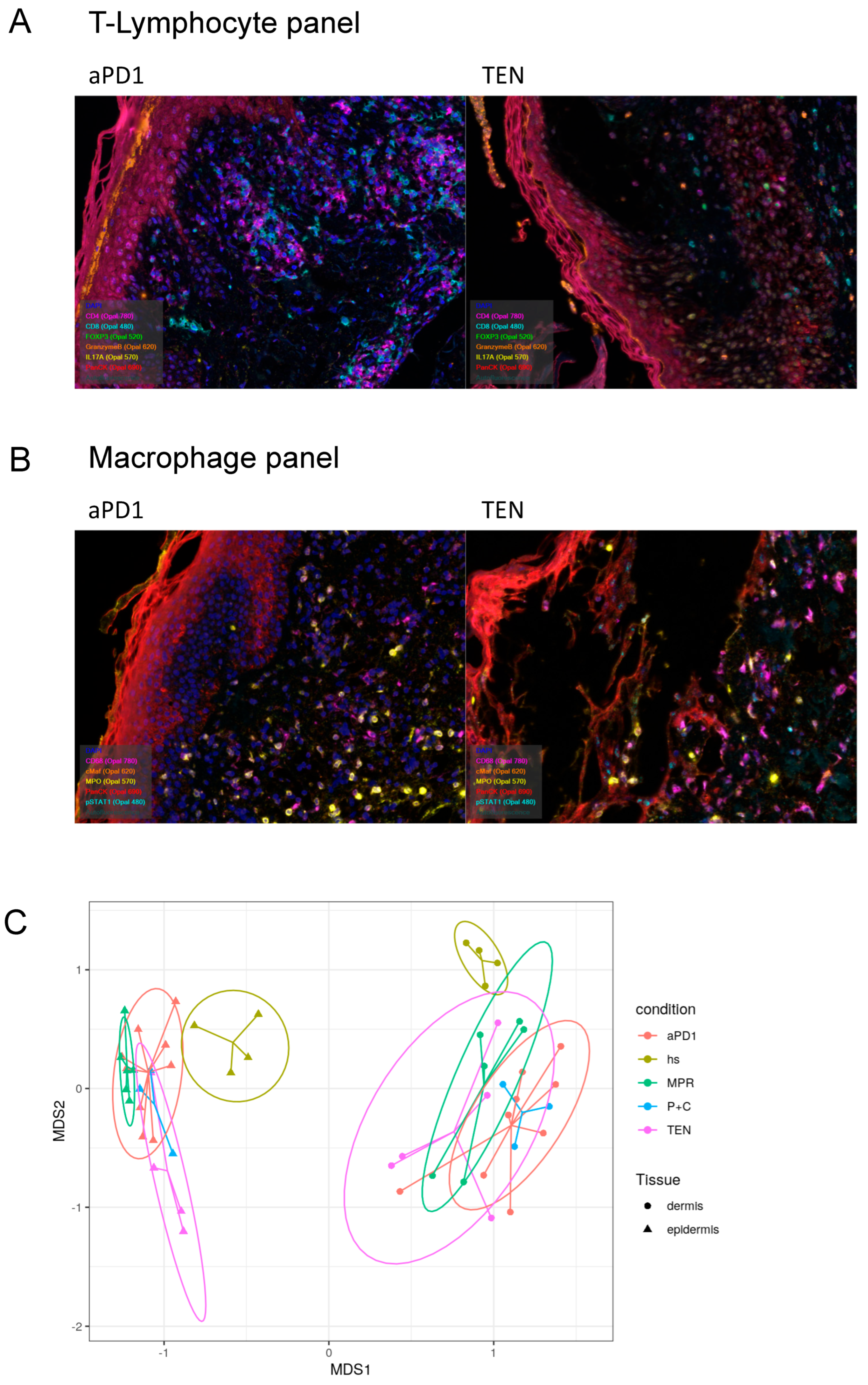 Cancers 17 01992 g003a