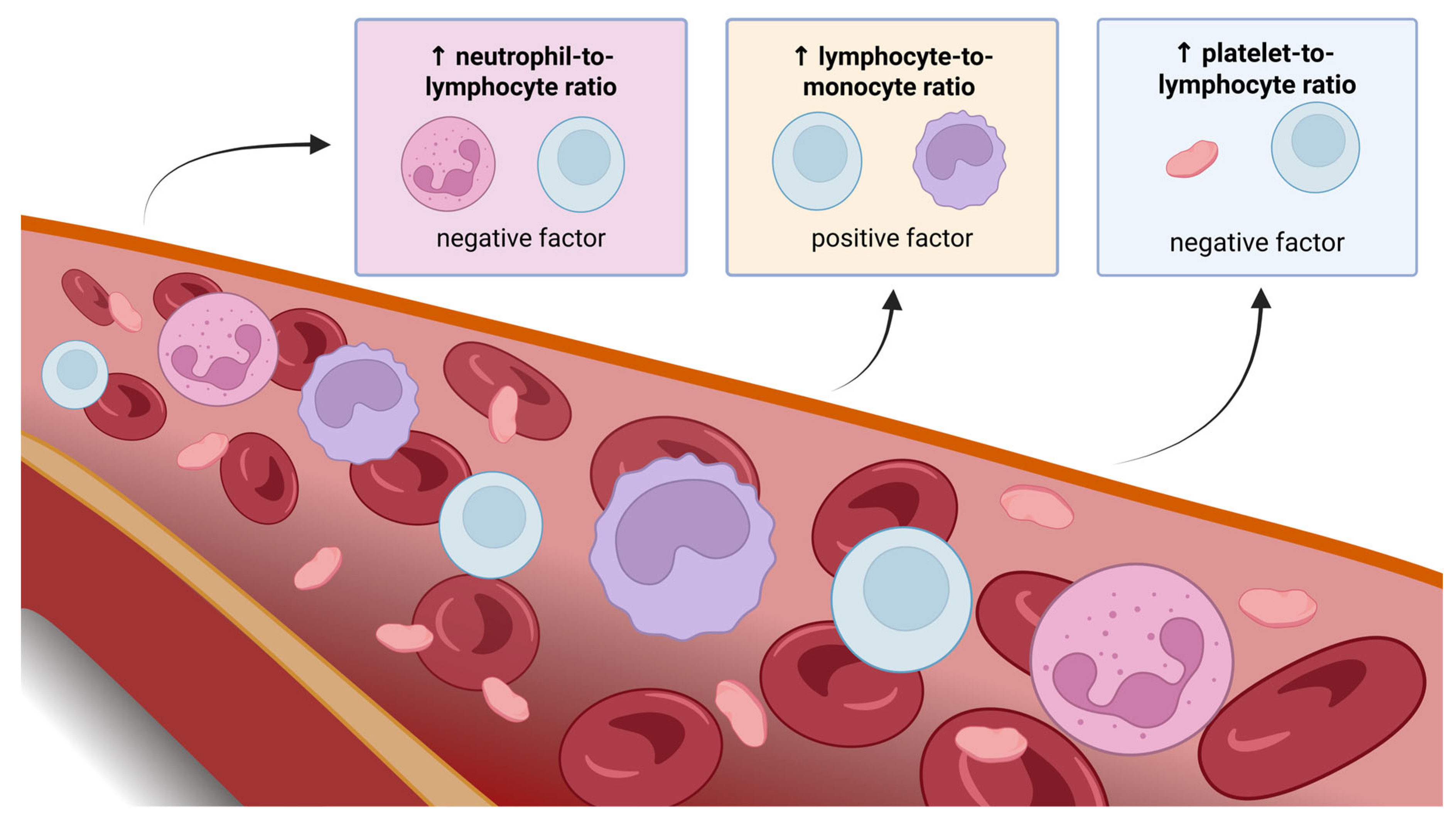 Cancers 17 02001 g002