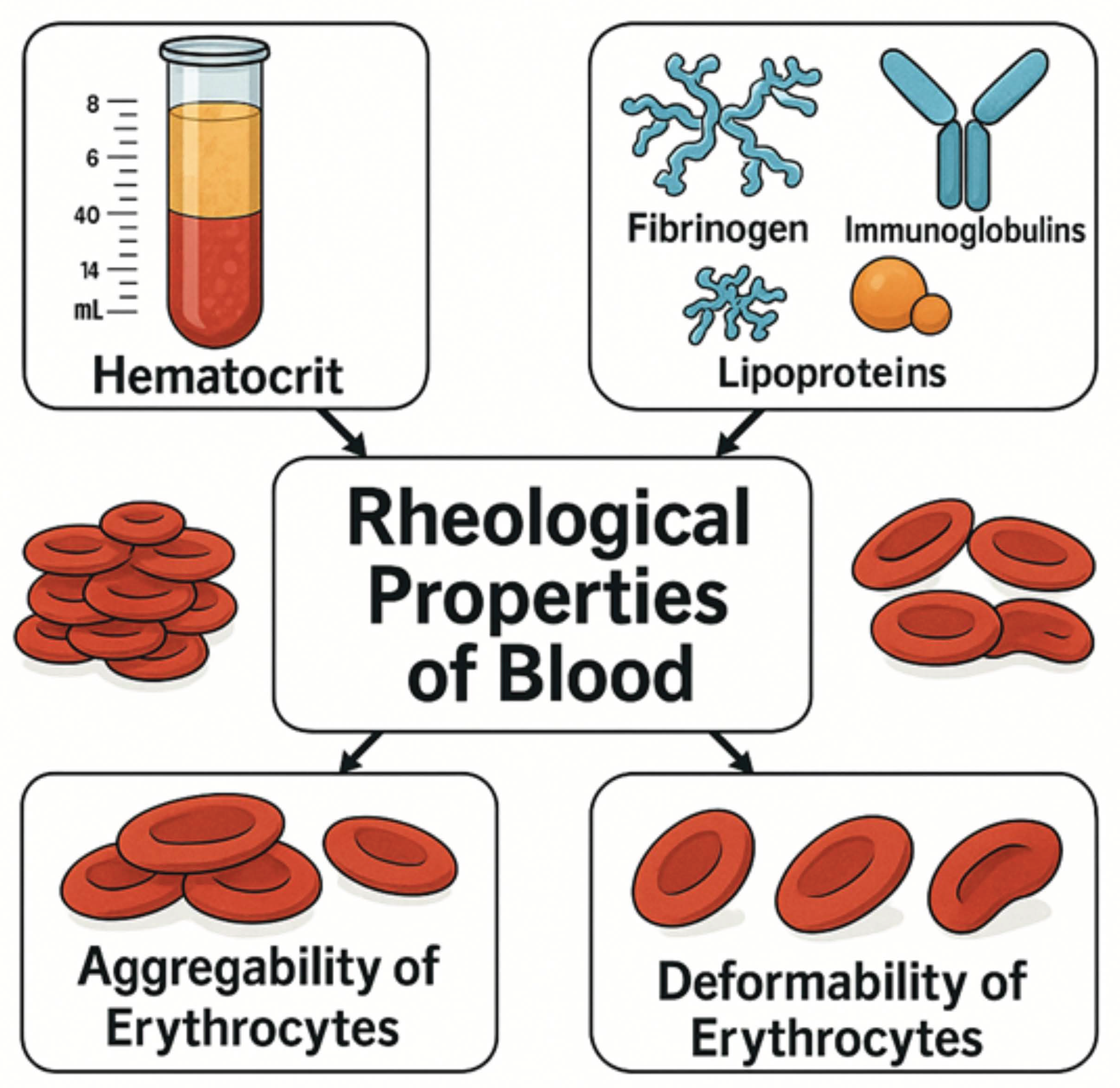Cancers 17 02001 g003