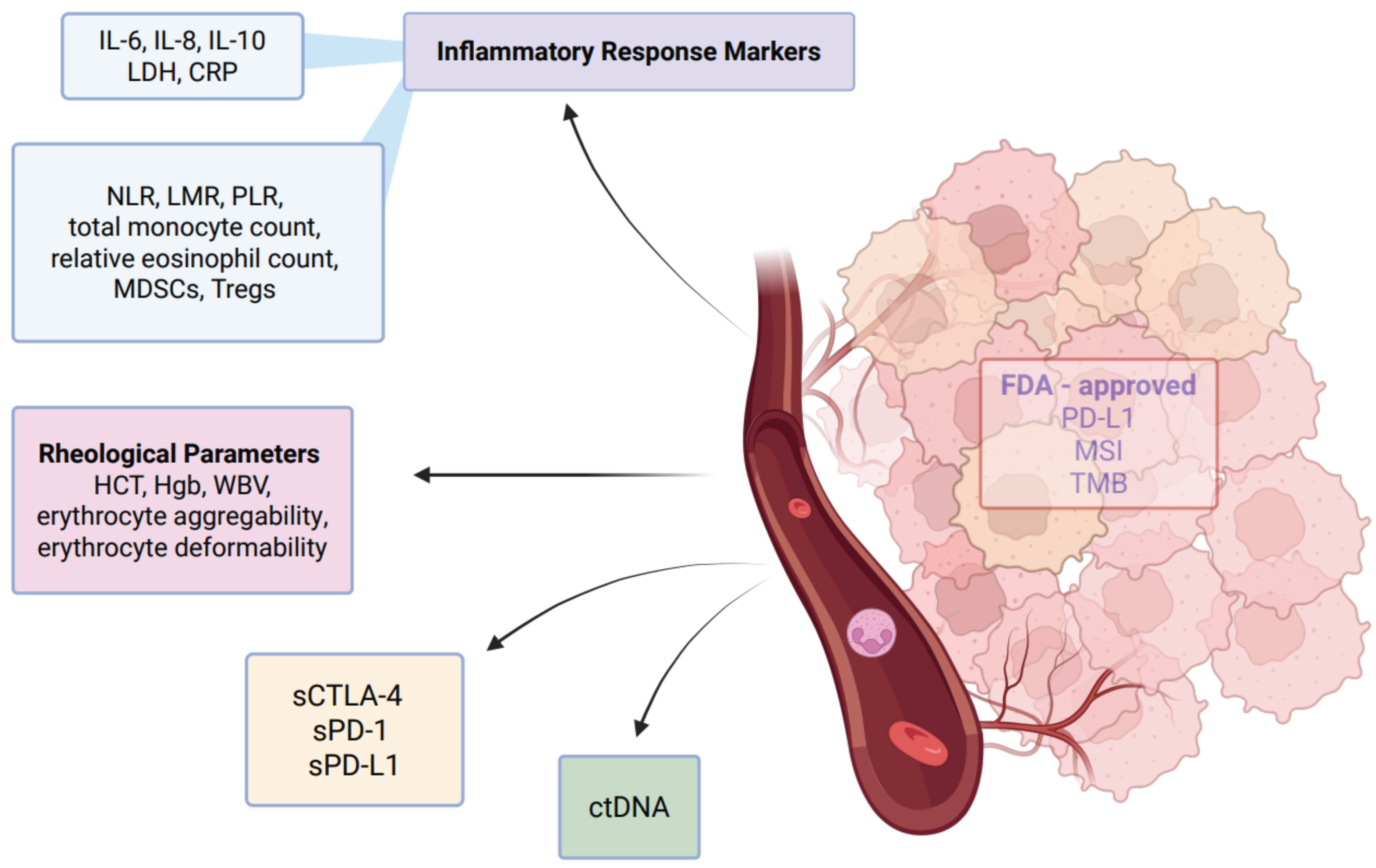 Cancers 17 02001 g004