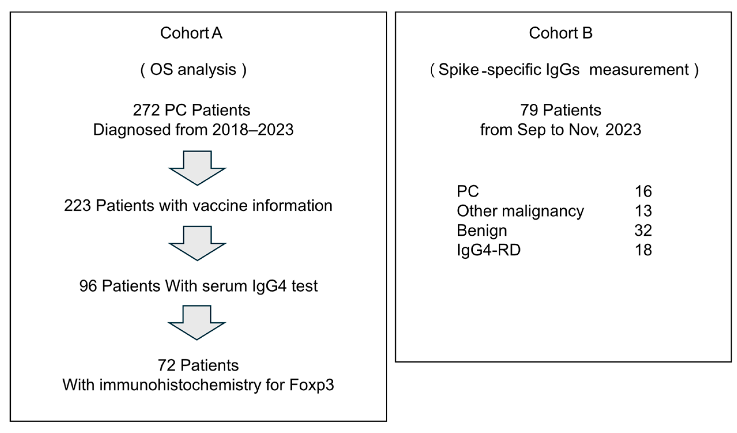 Cancers 17 02006 g001
