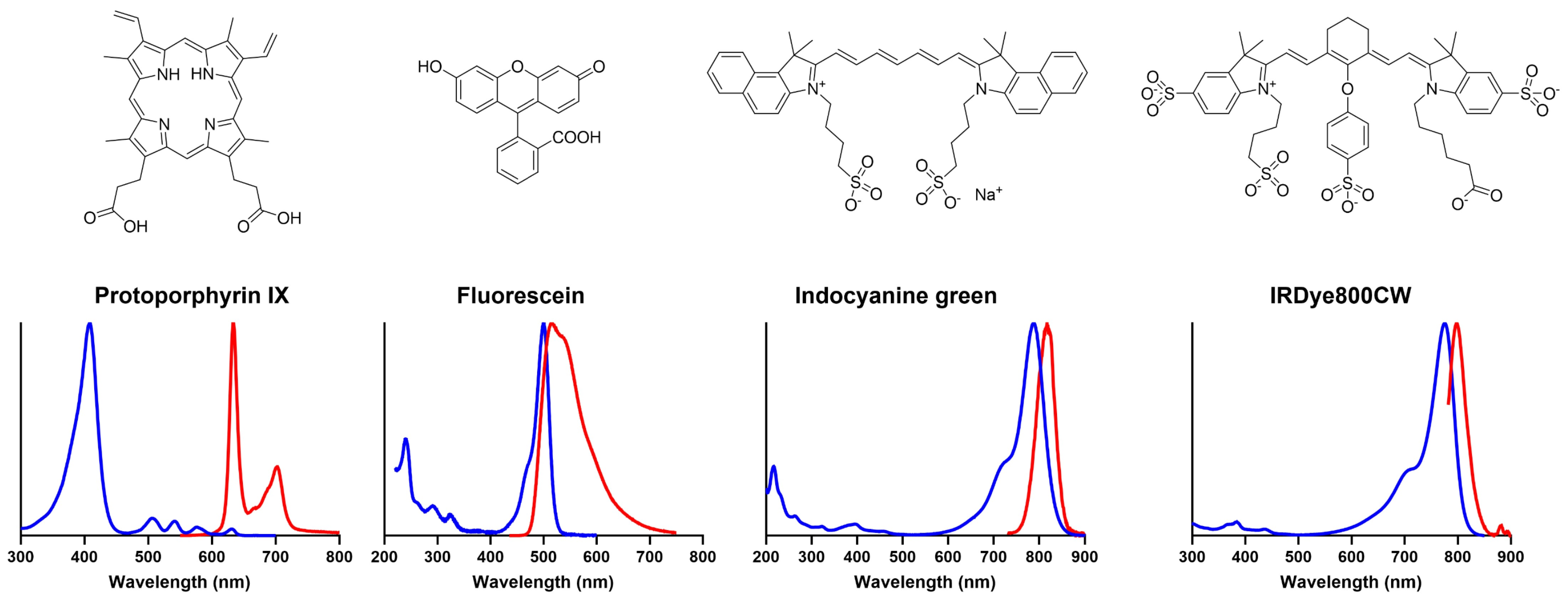 Cancers 17 02019 g005