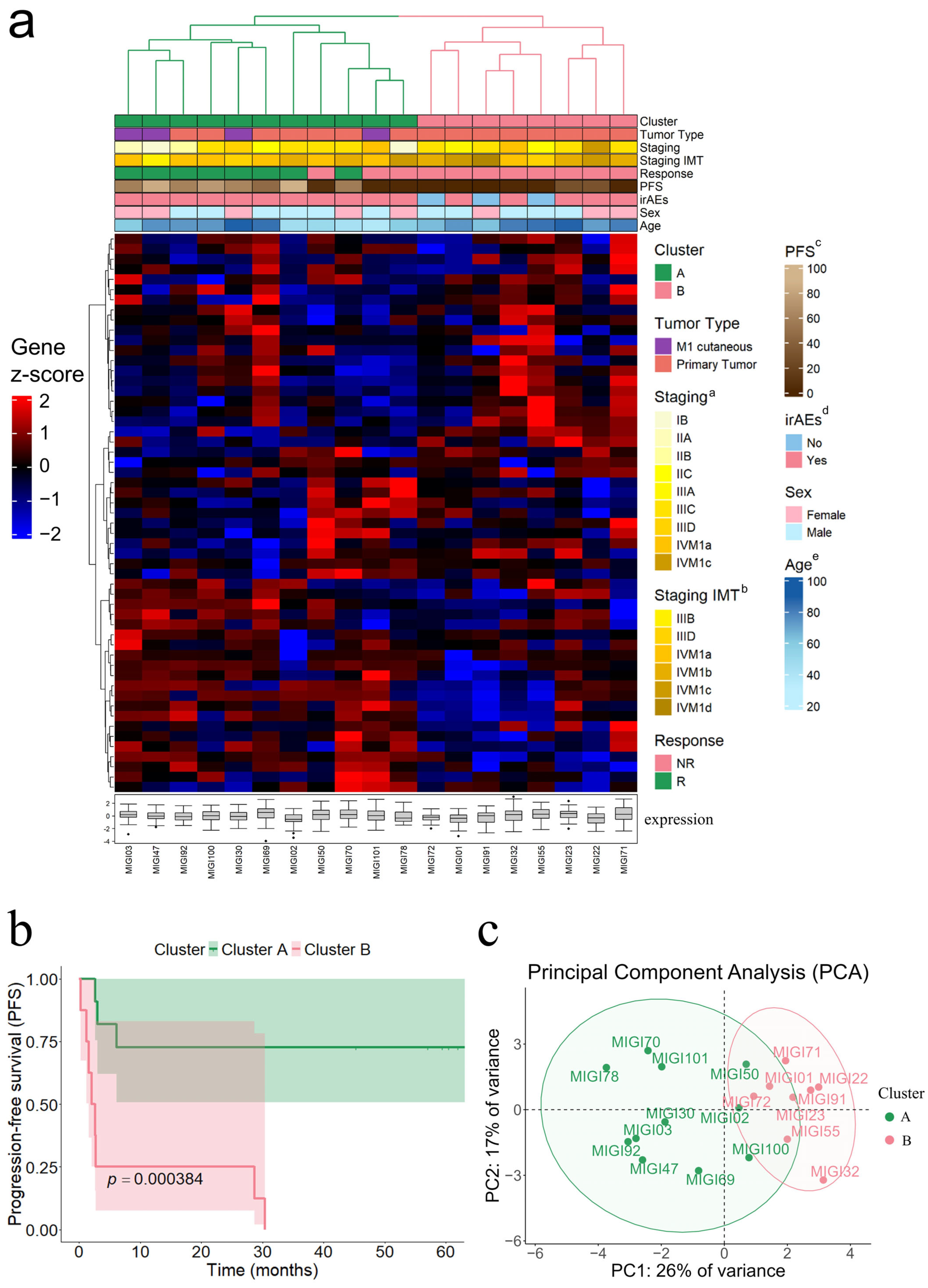 Cancers 17 02022 g001