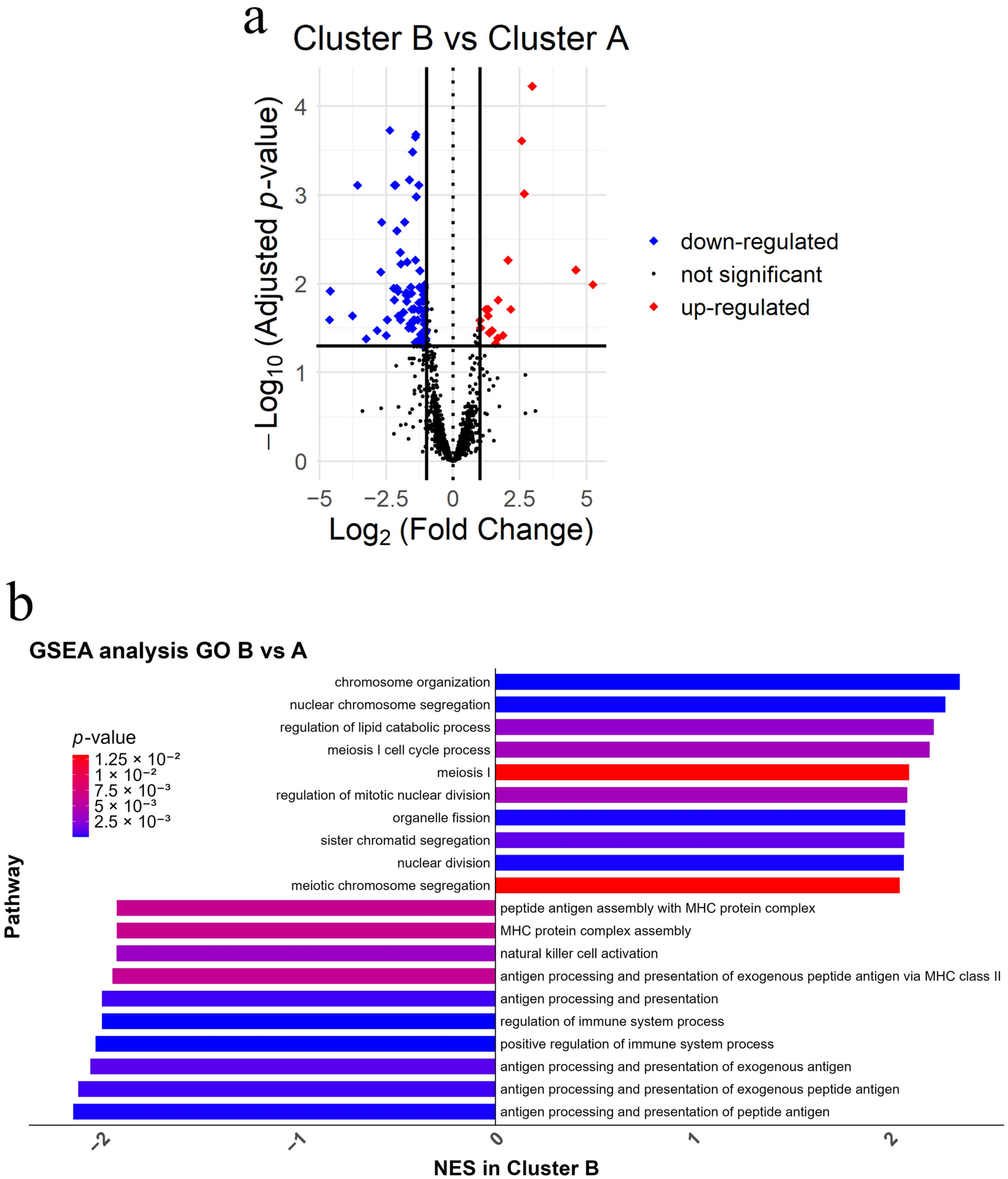 Cancers 17 02022 g003