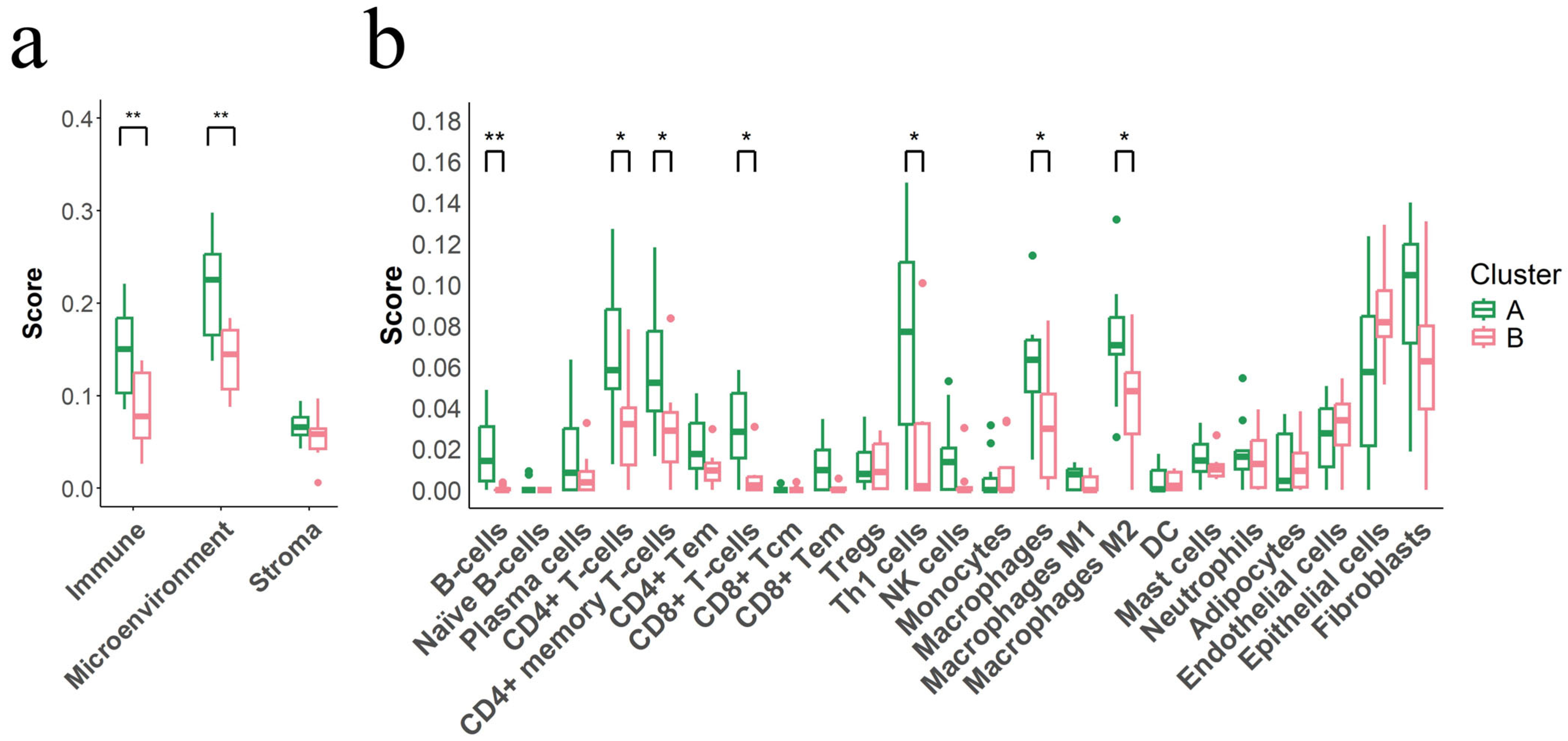 Cancers 17 02022 g004