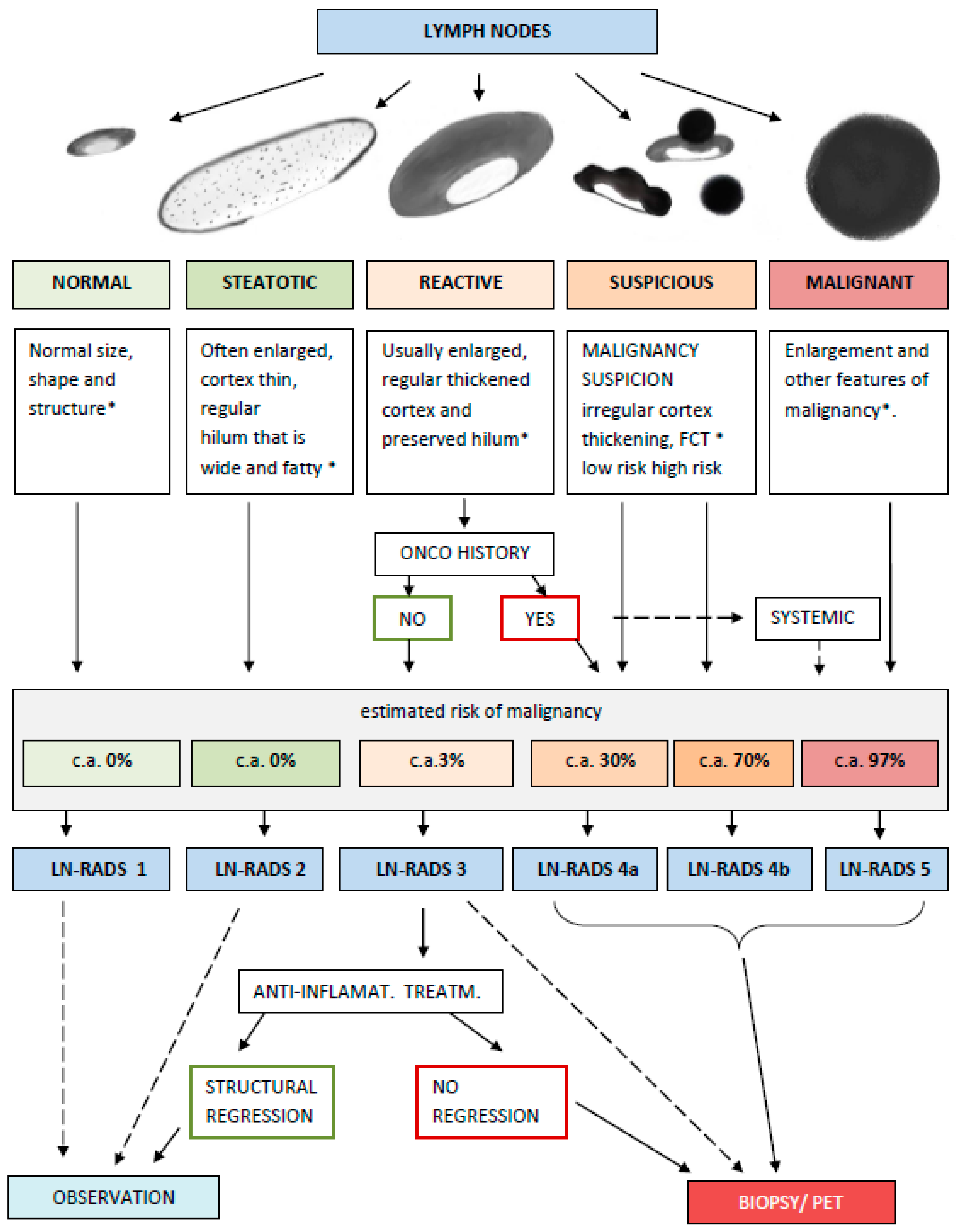 Cancers 17 02030 g004