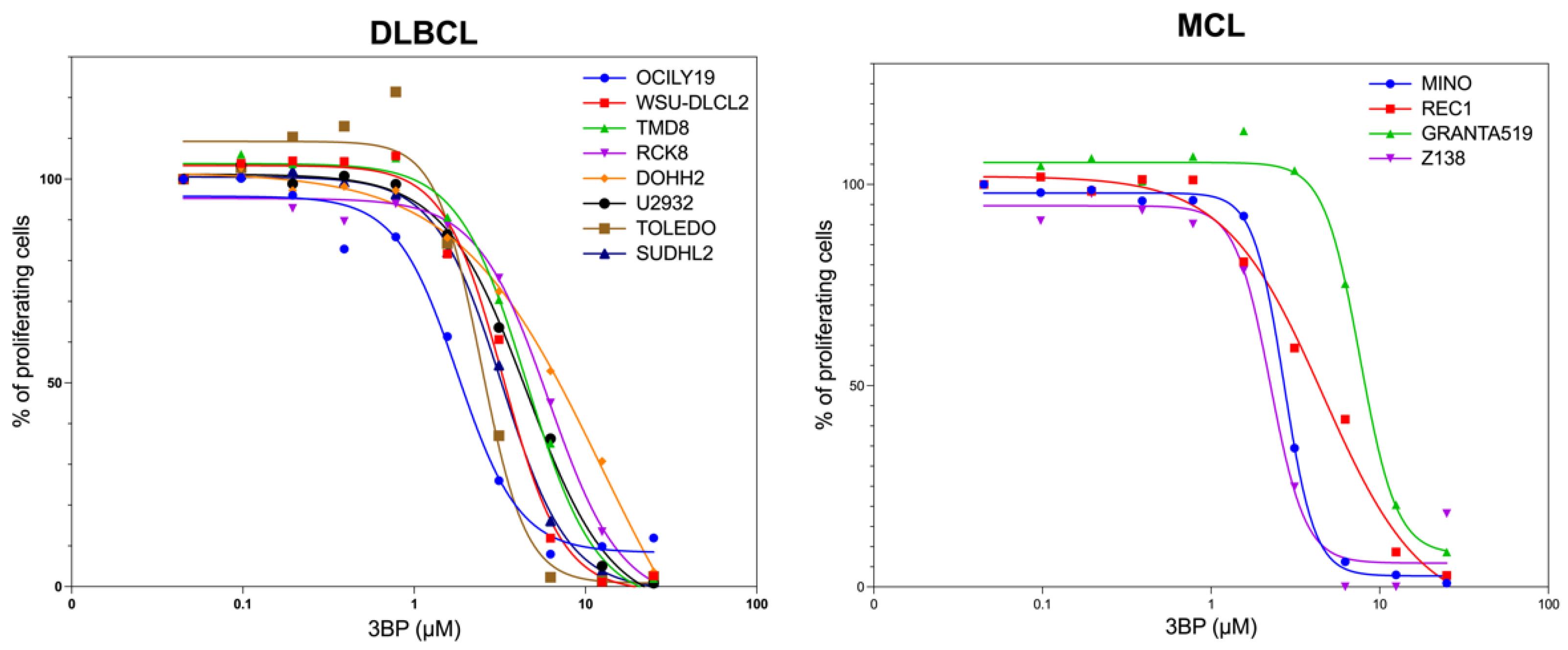 Cancers 17 02034 g001