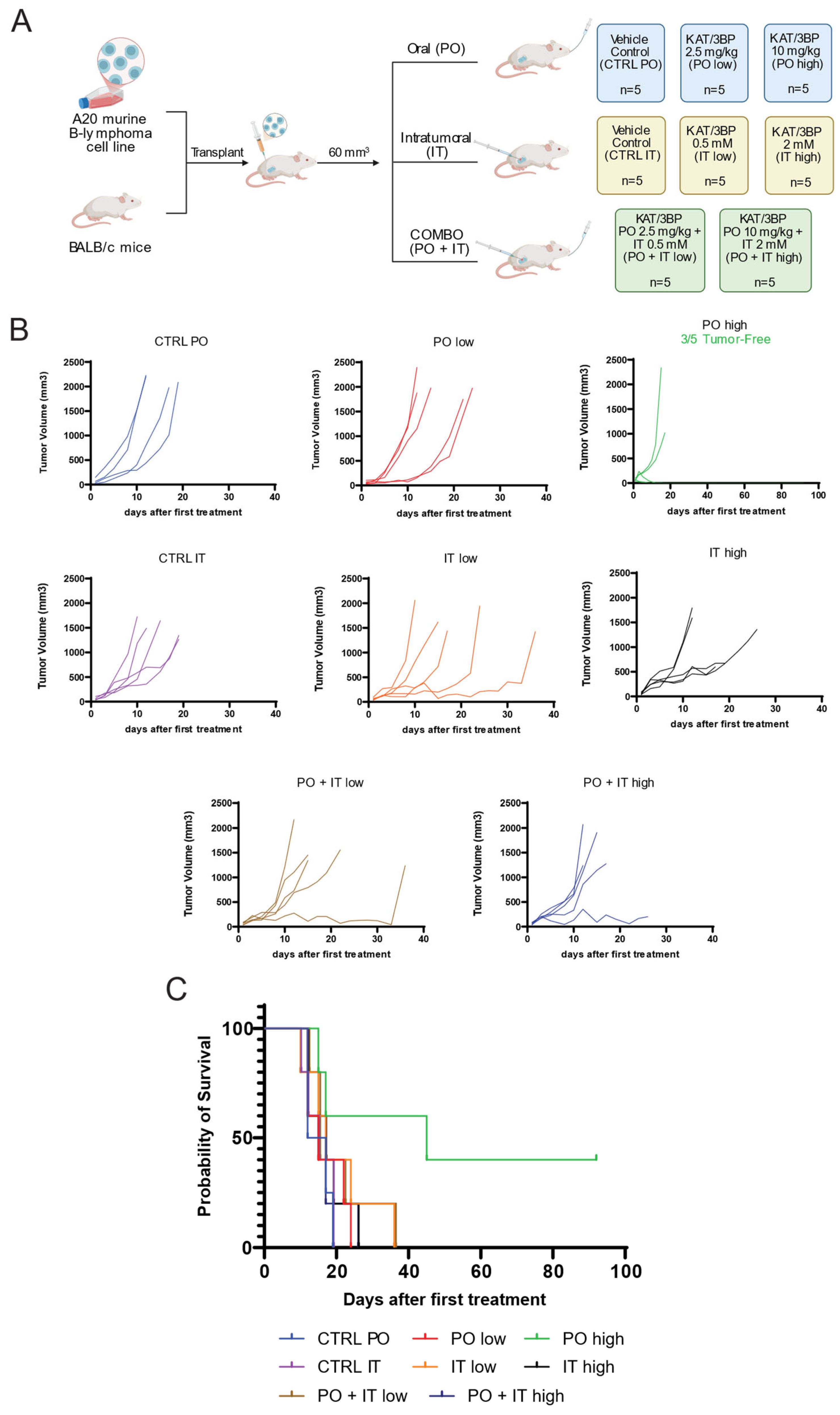 Cancers 17 02034 g003