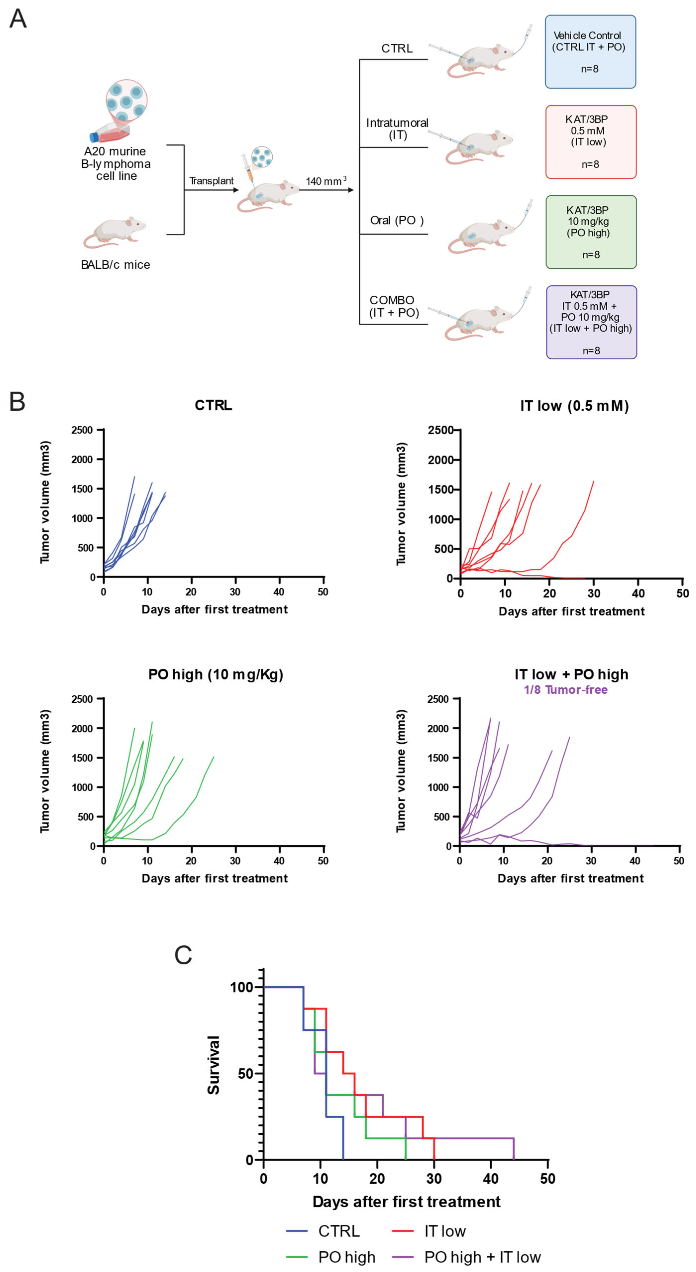 Cancers 17 02034 g004