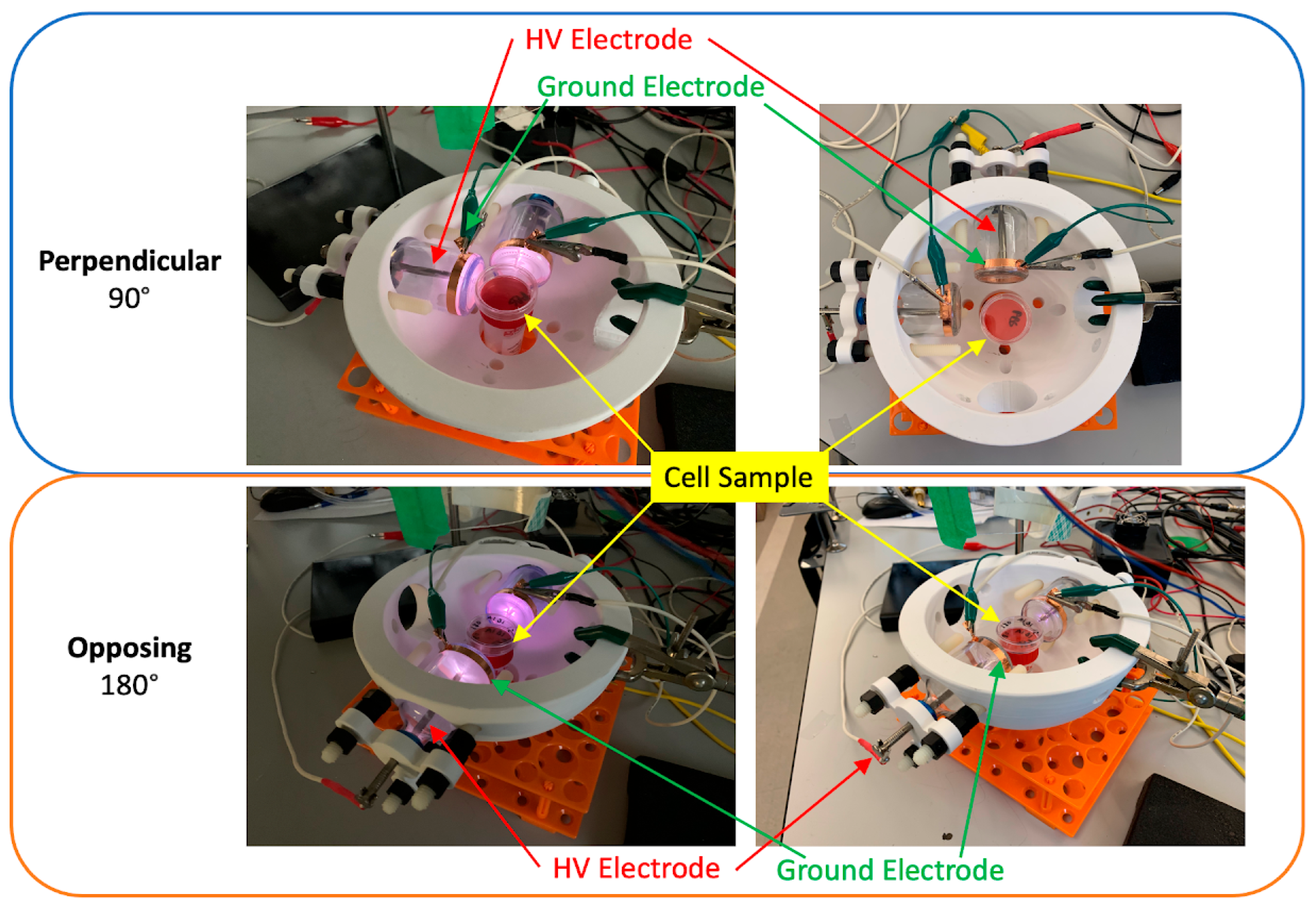 Cancers 17 02036 g002