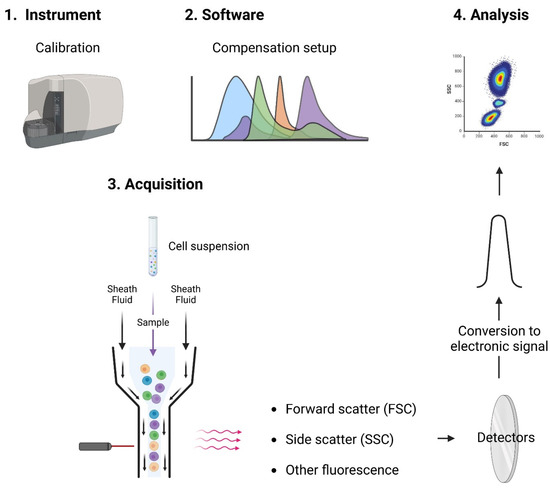 Use of virus-like particles and nanoparticle-based vaccines