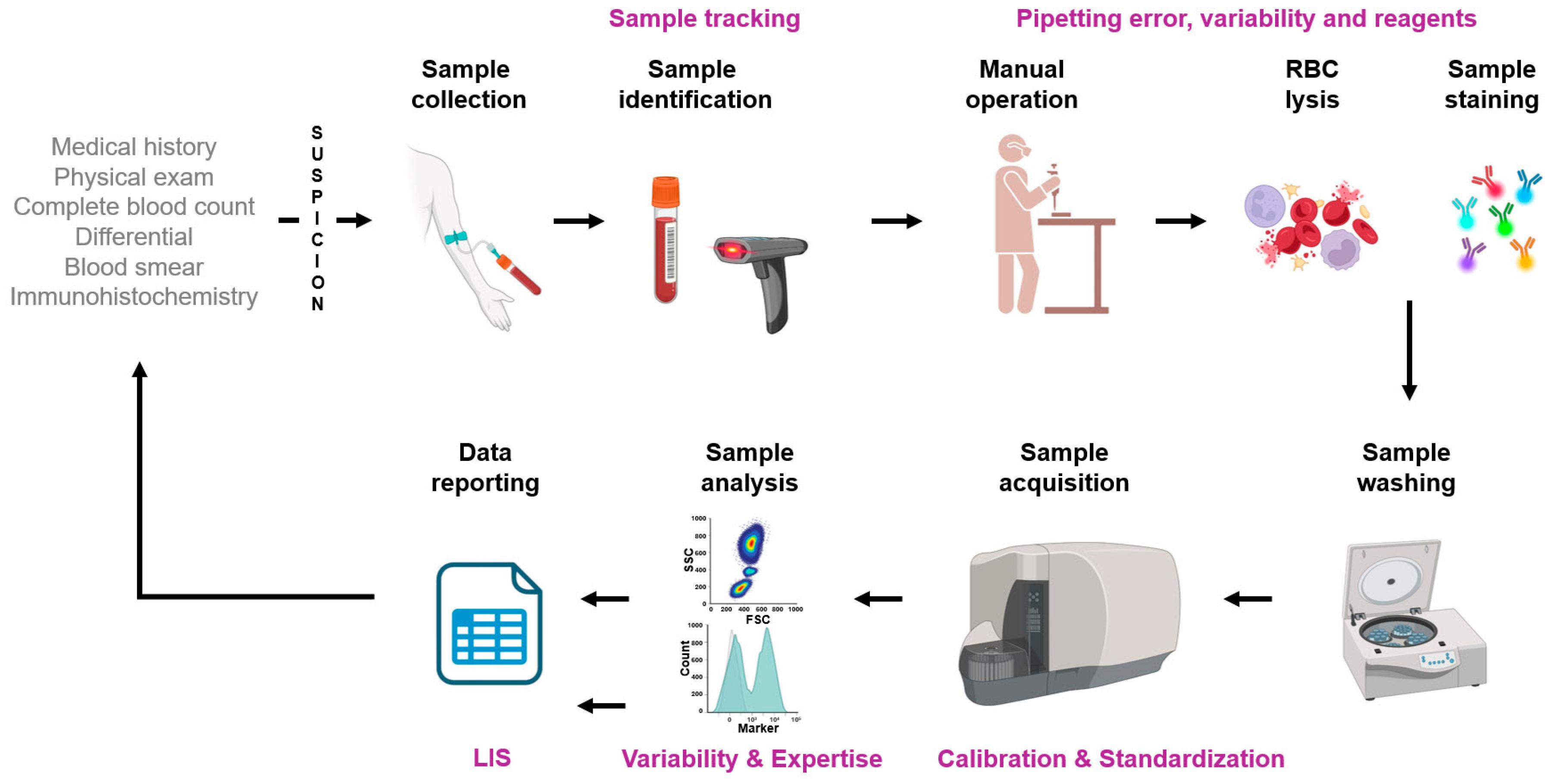 Cancers 17 02045 g003 Cancers 17 02045 g003