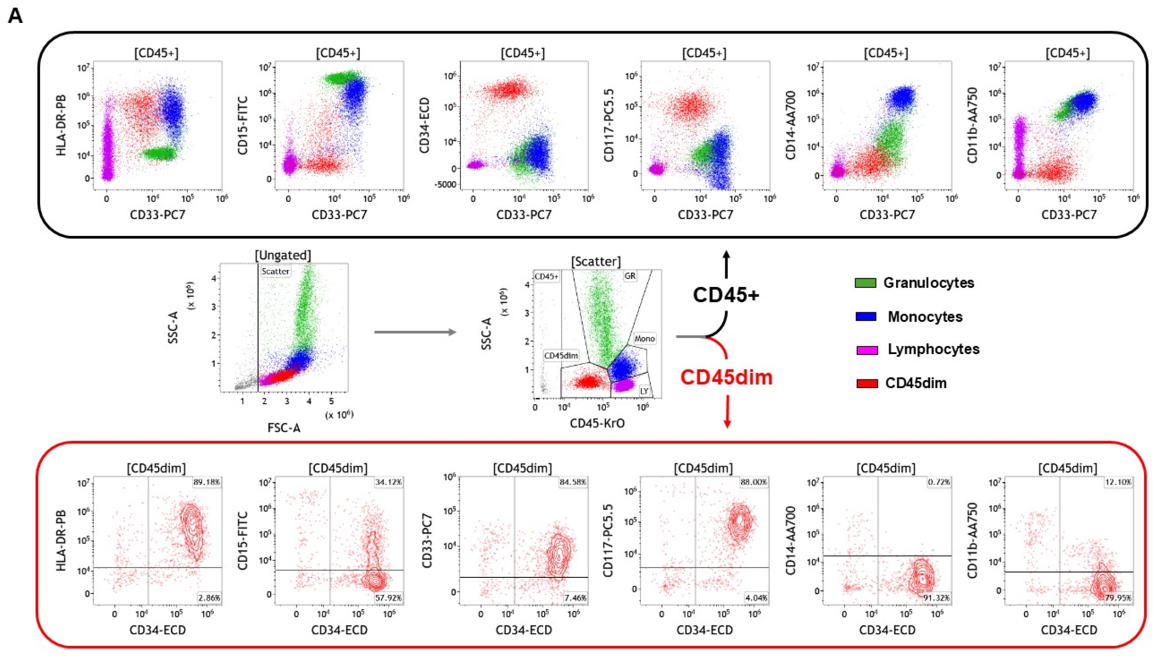Cancers 17 02045 g004a Cancers 17 02045 g004a