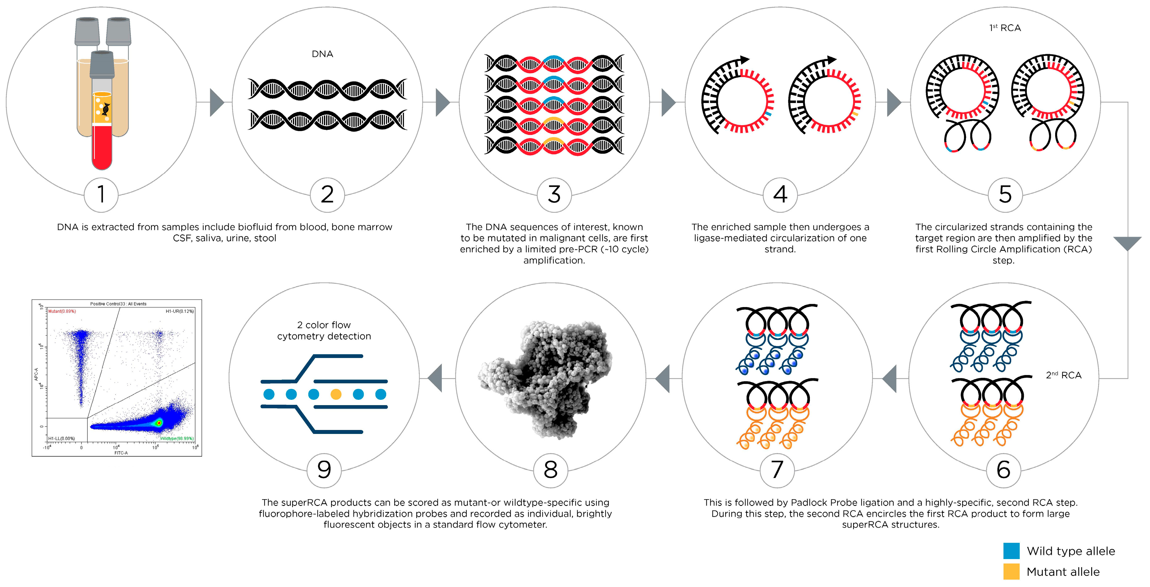 Cancers 17 02045 g005 Cancers 17 02045 g005