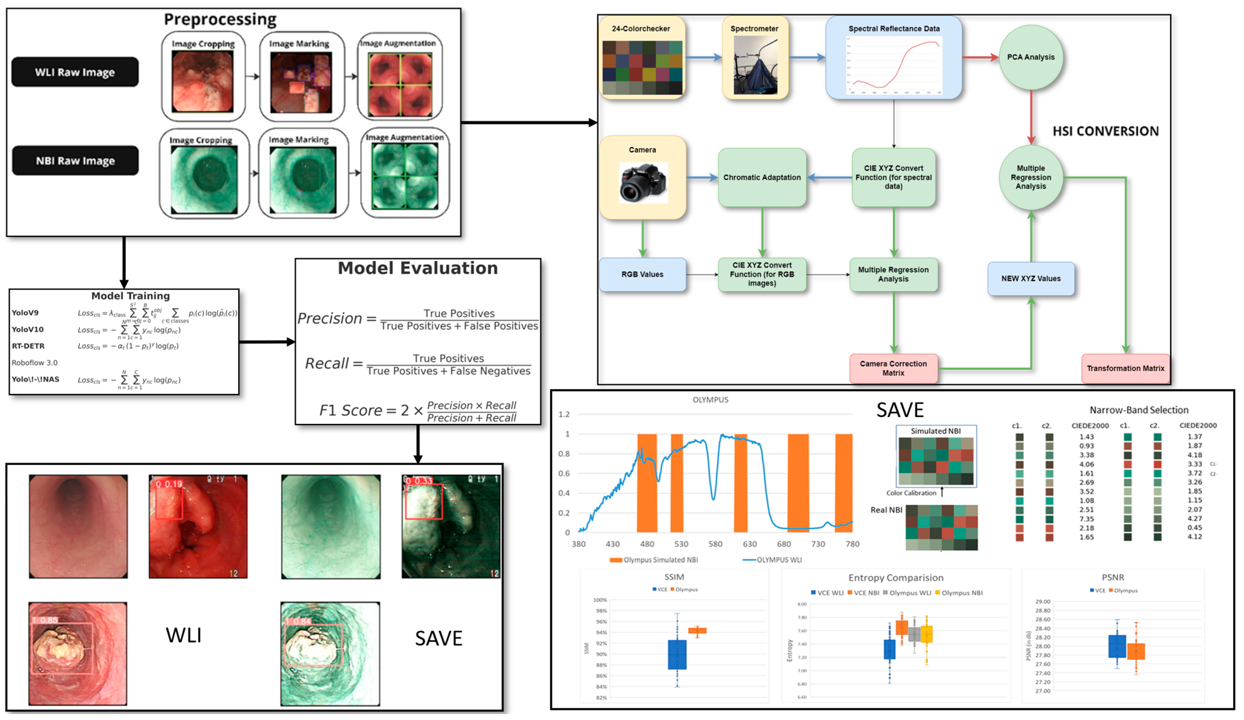 Cancers 17 02049 g001