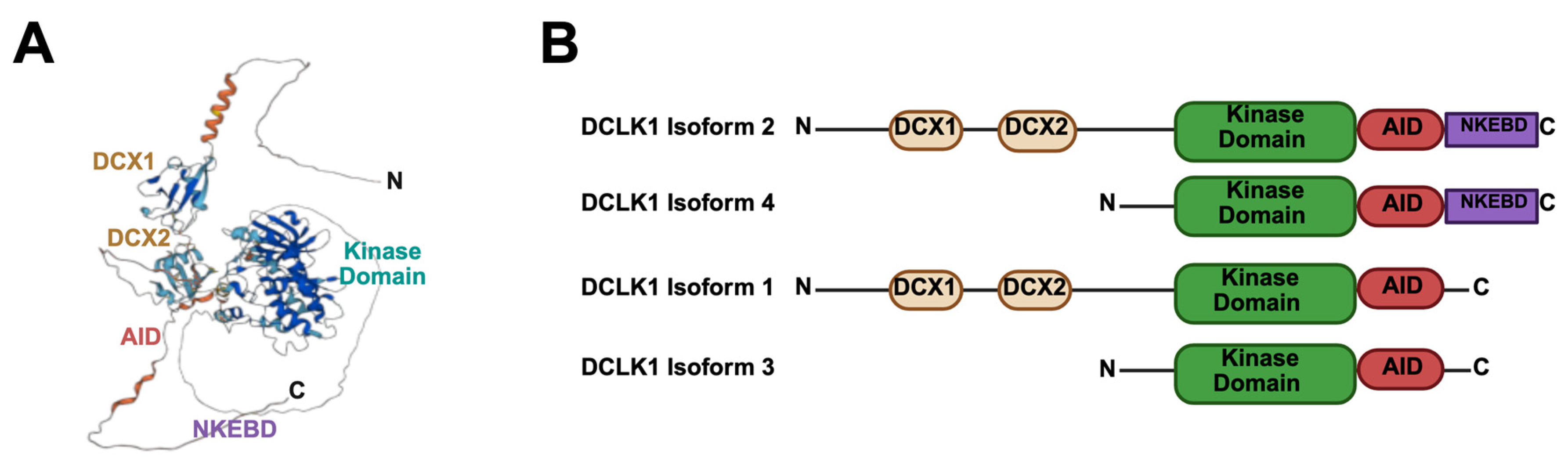 Cancers 17 02050 g001
