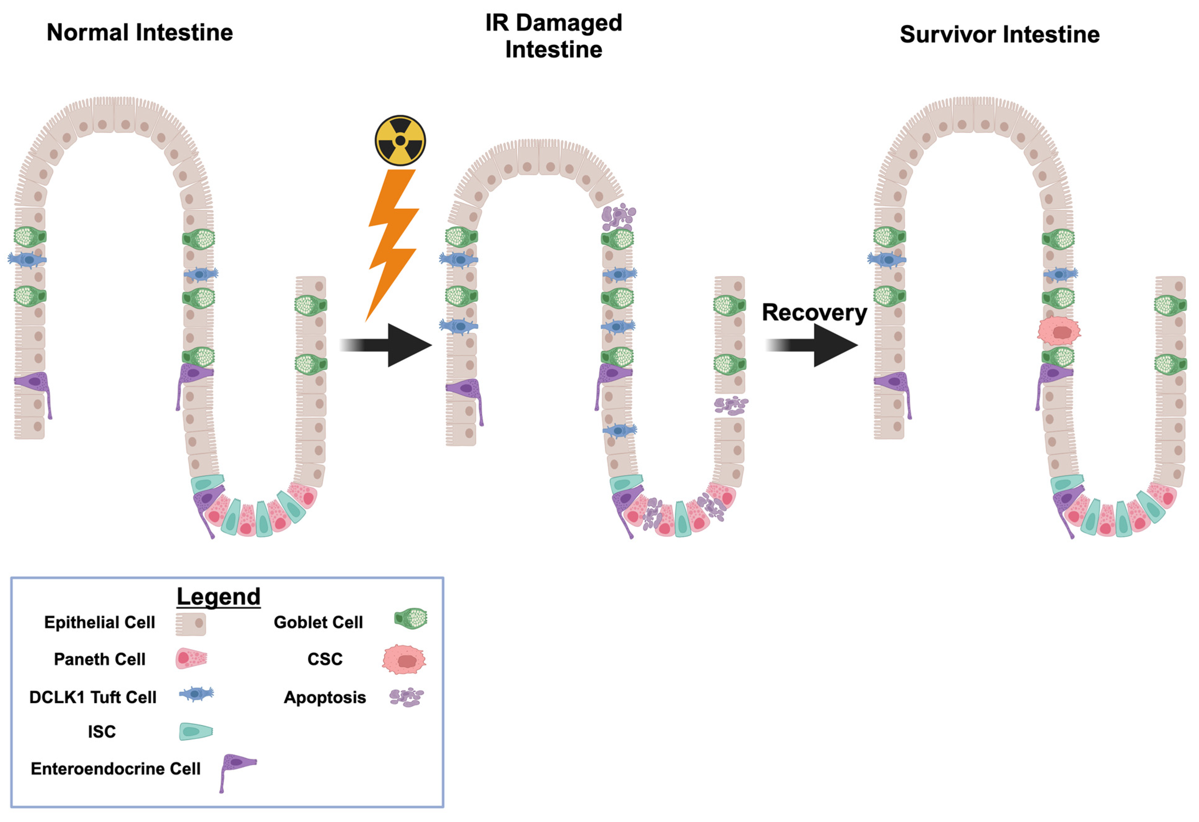 Cancers 17 02050 g004