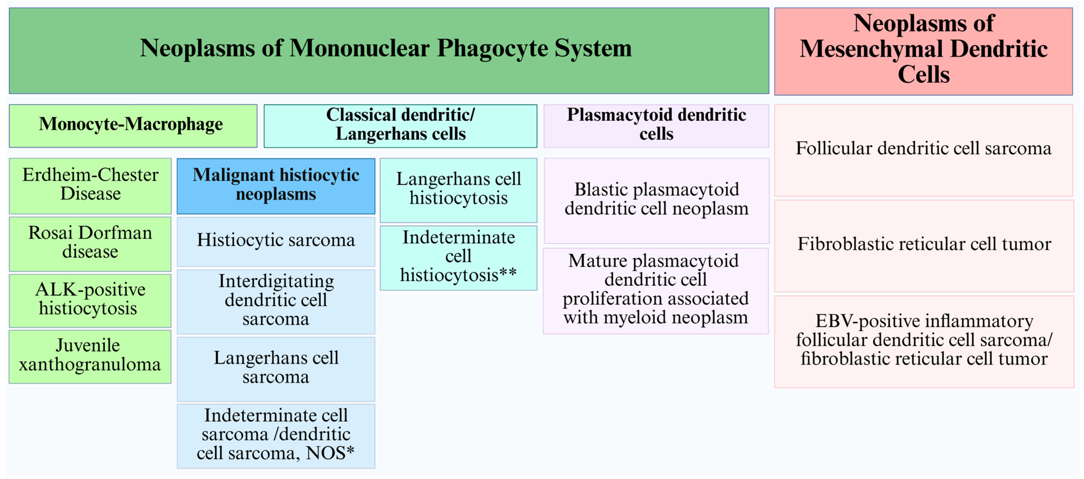 Cancers 17 02055 g003