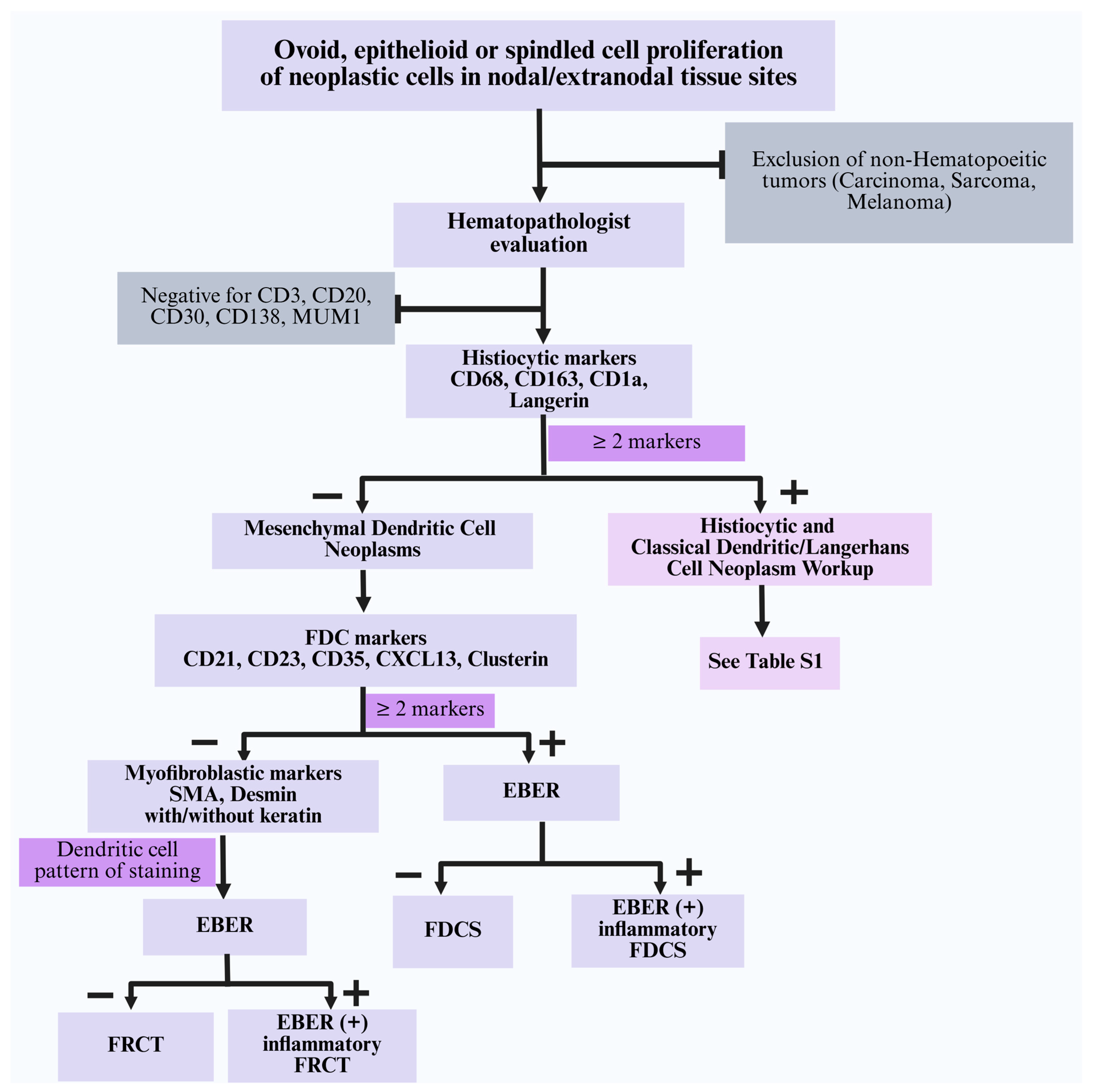 Cancers 17 02055 g004