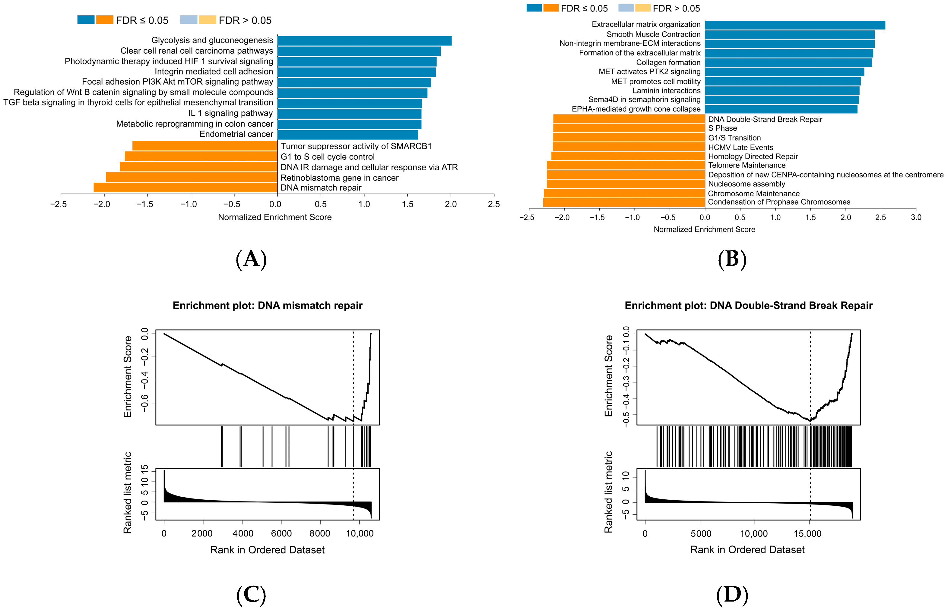 Cancers 17 02058 g001