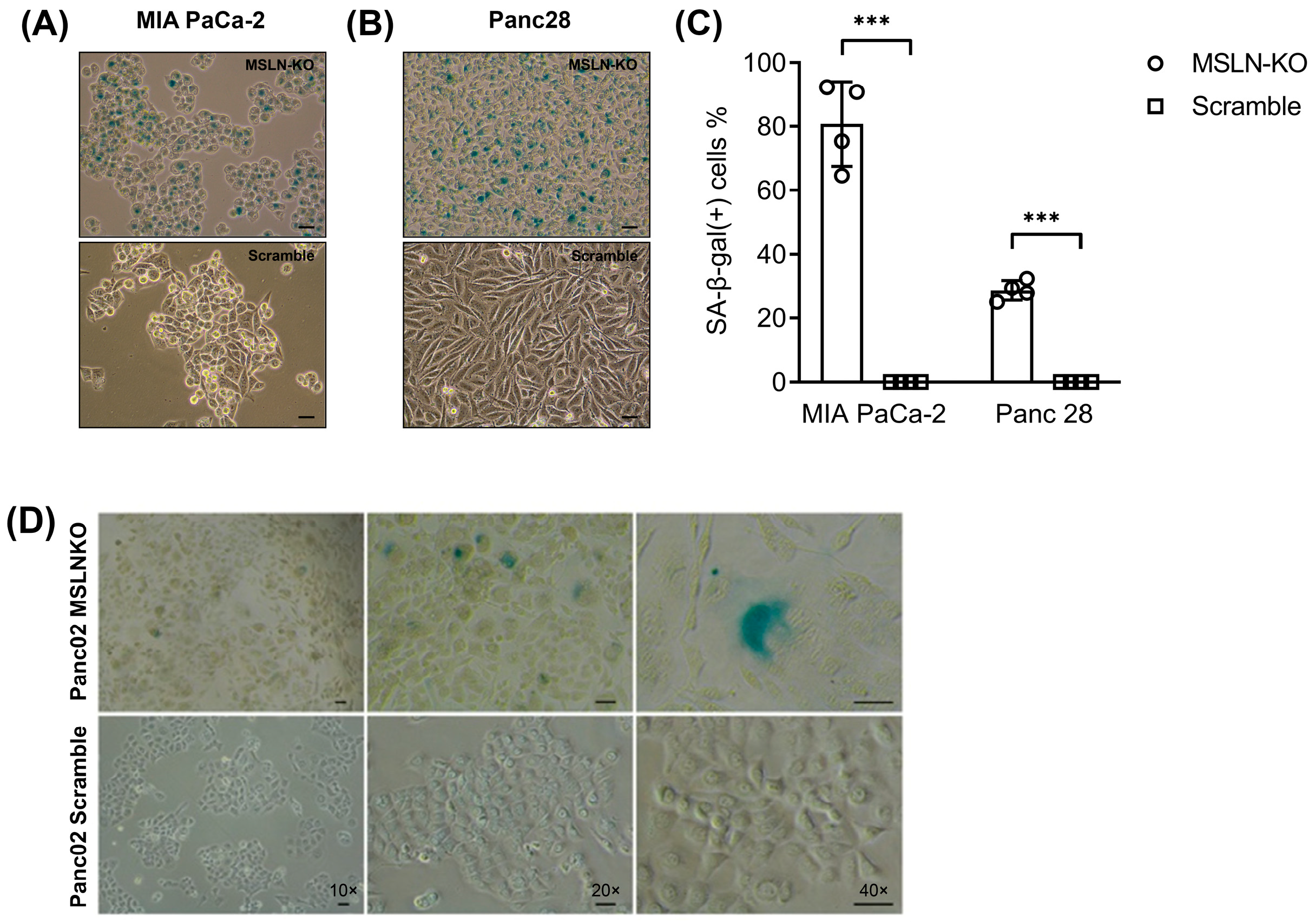 Cancers 17 02058 g002