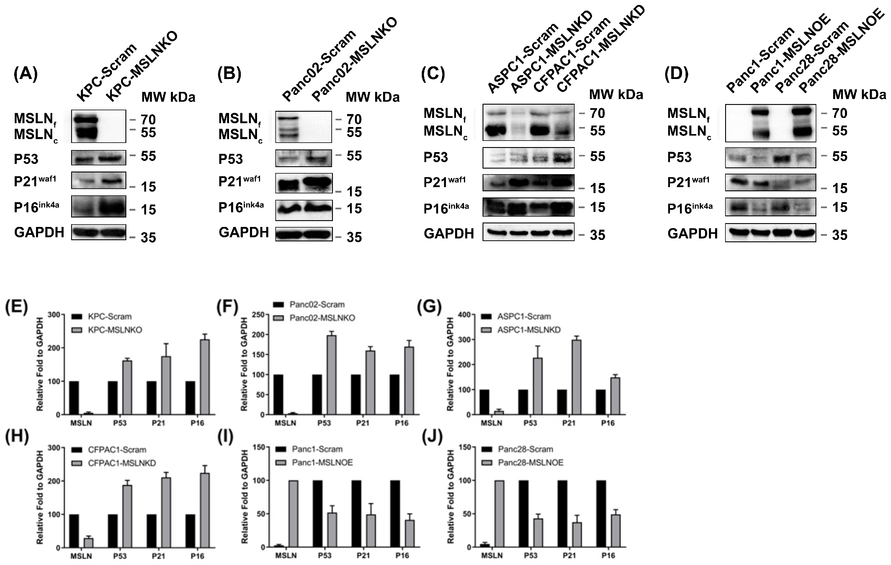 Cancers 17 02058 g003