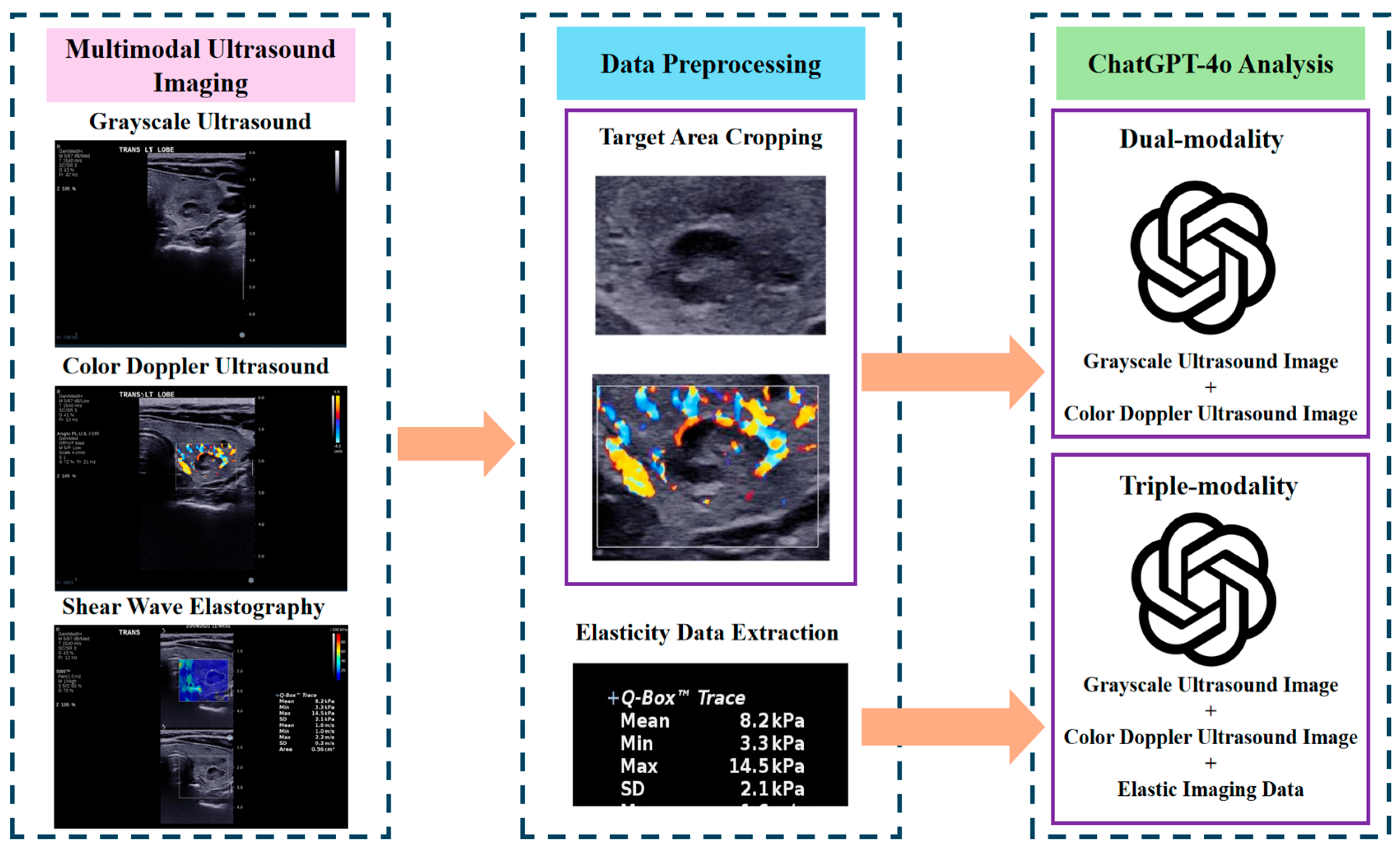 Cancers 17 02068 g001