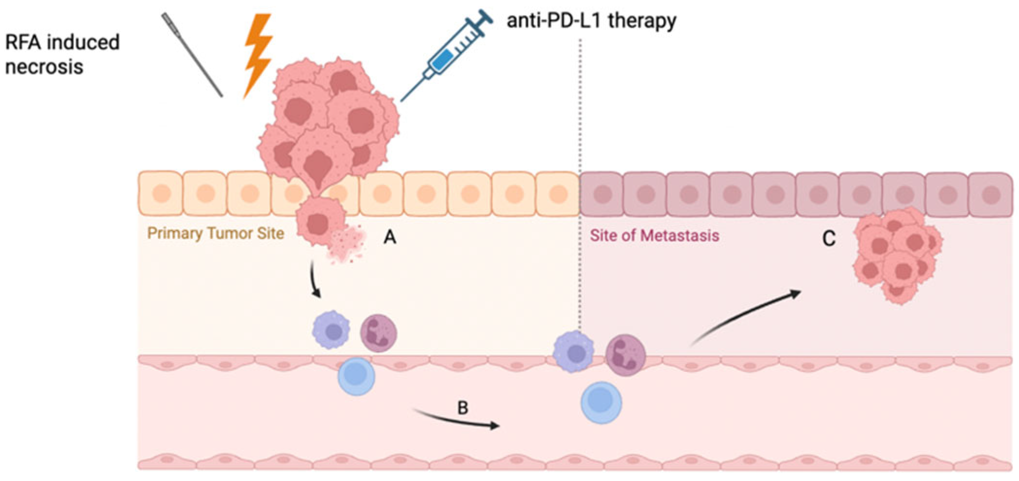 Cancers 17 02091 g001 Cancers 17 02091 g001
