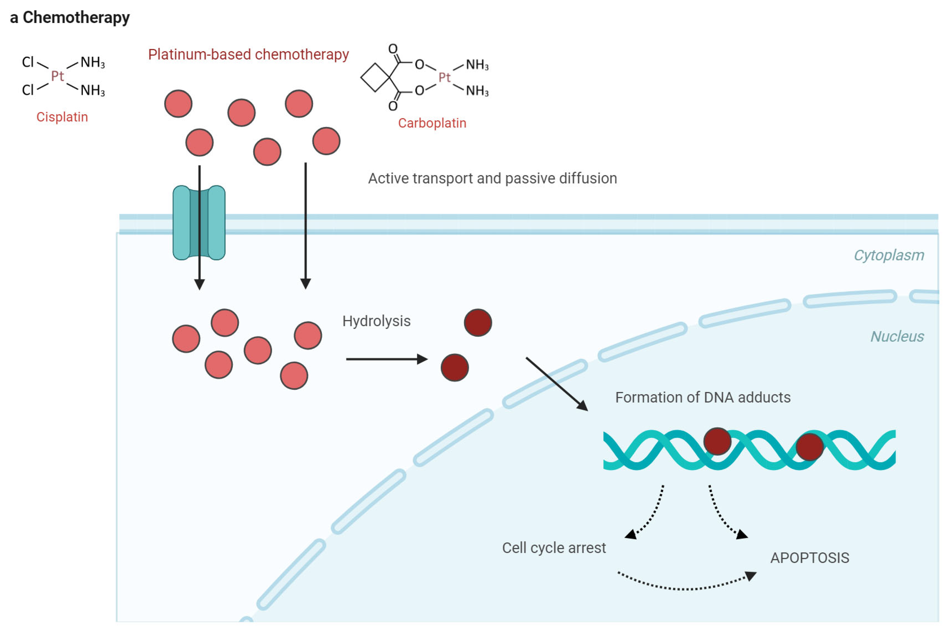 Cancers 17 02097 g002a