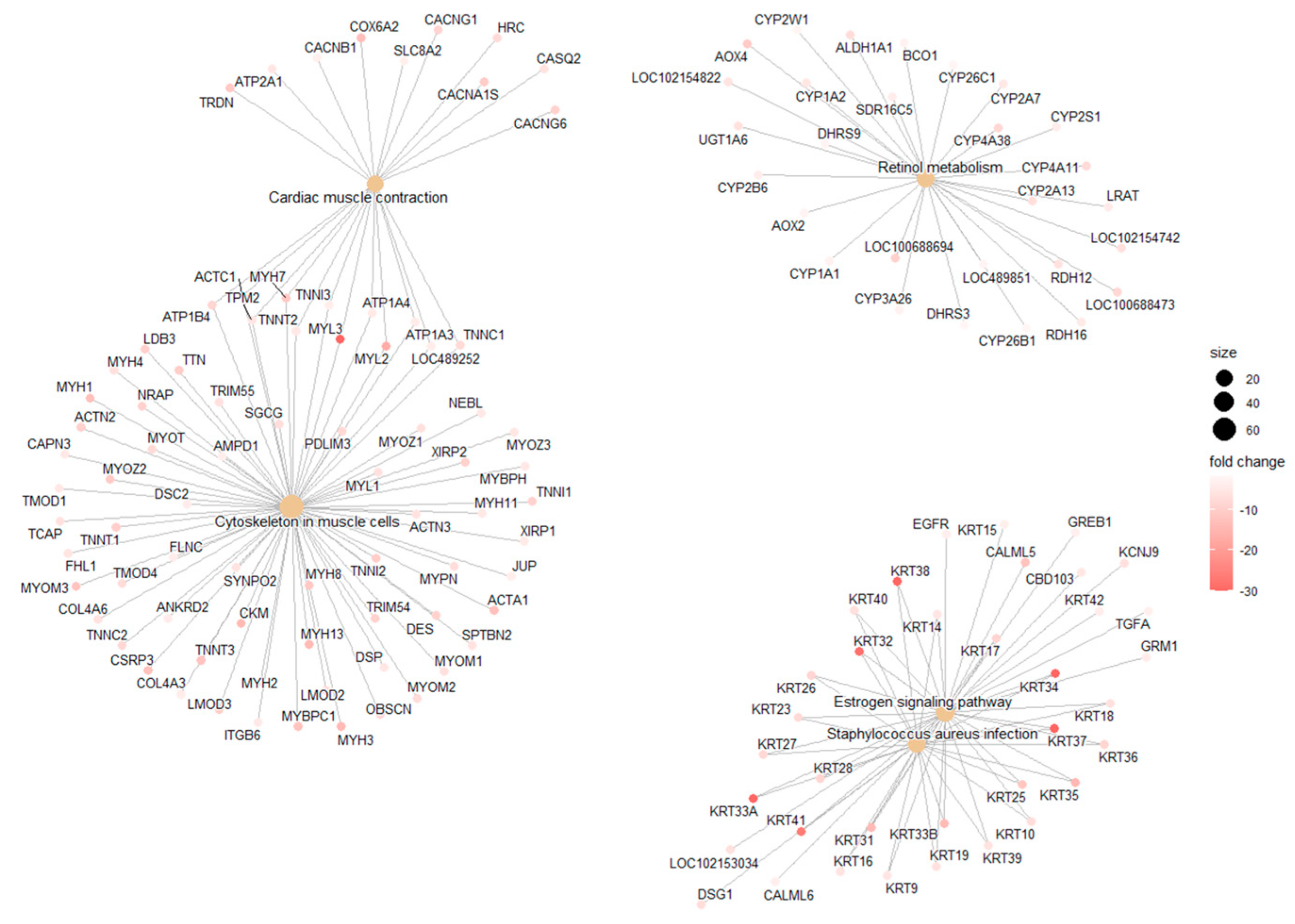 Cancers 17 02106 g005