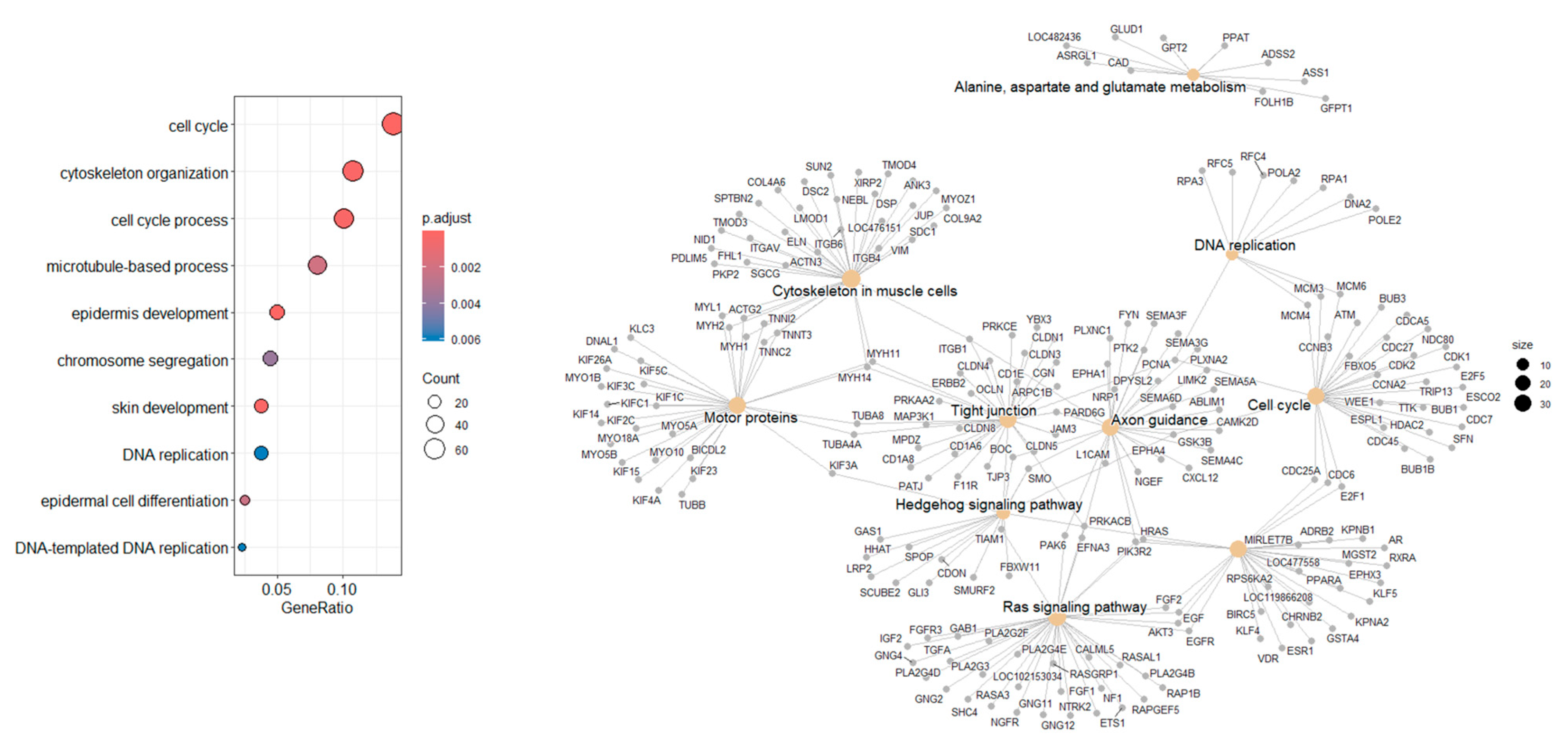 Cancers 17 02106 g006