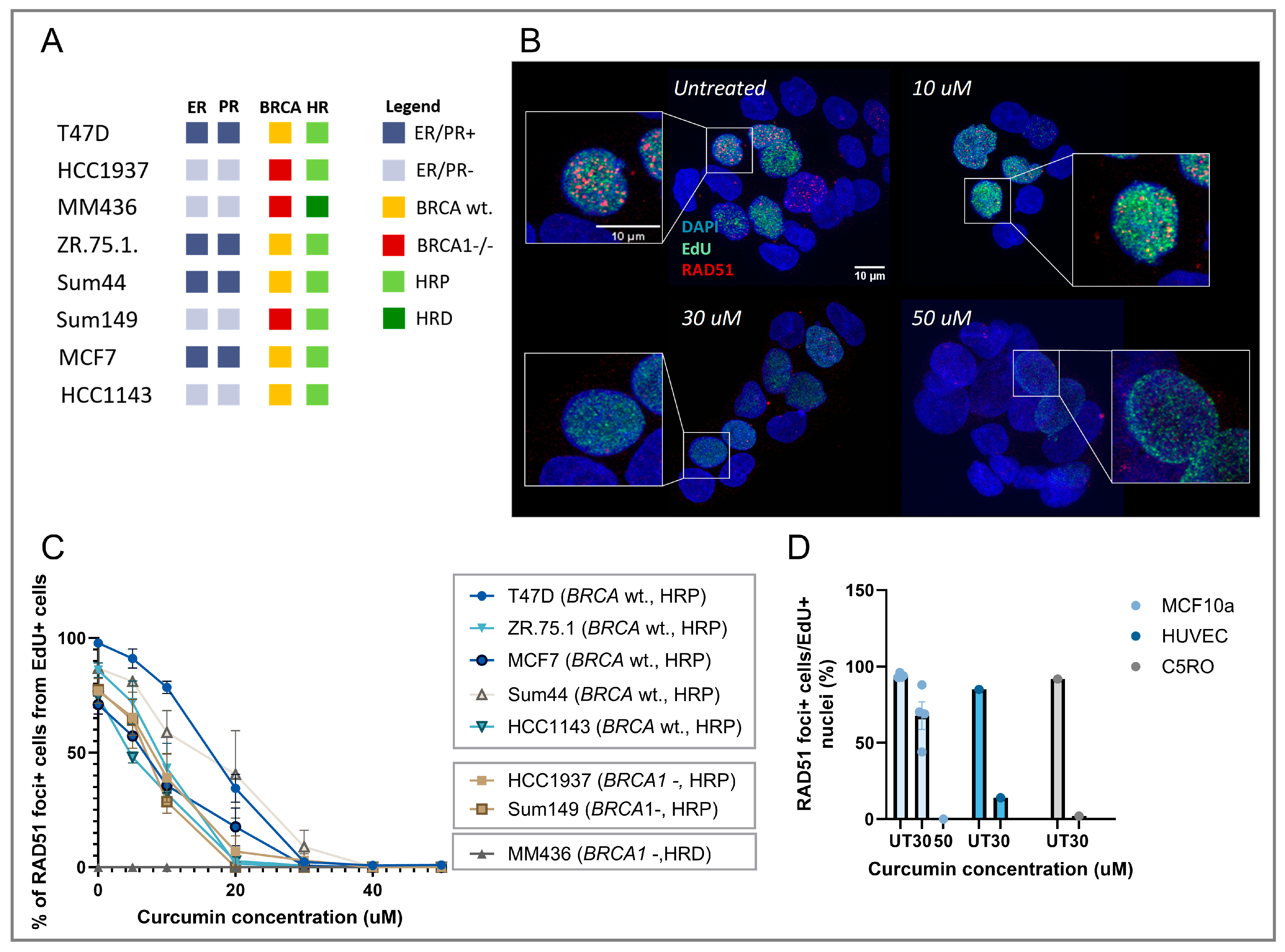 Cancers 17 02109 g001