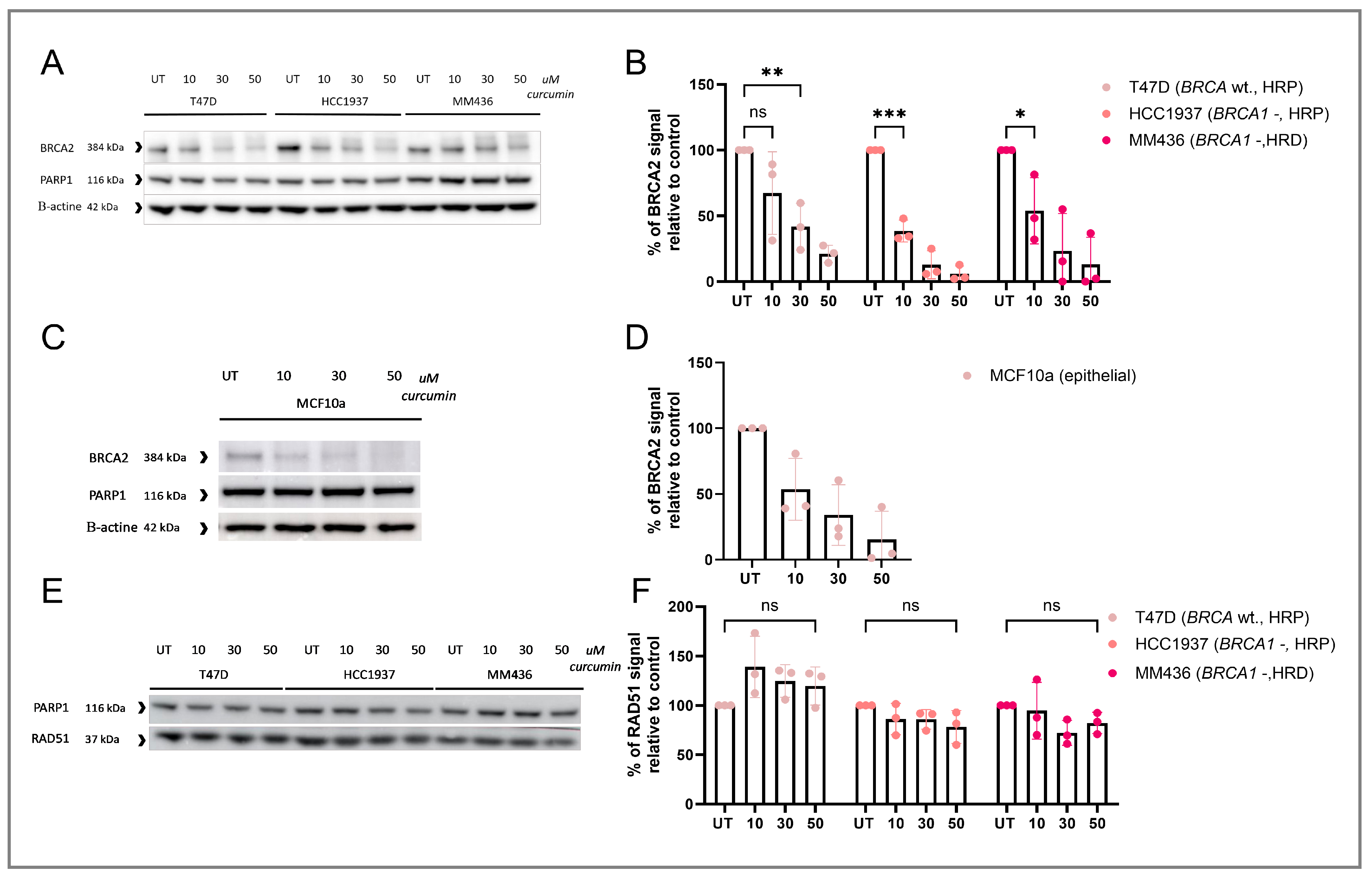Cancers 17 02109 g003