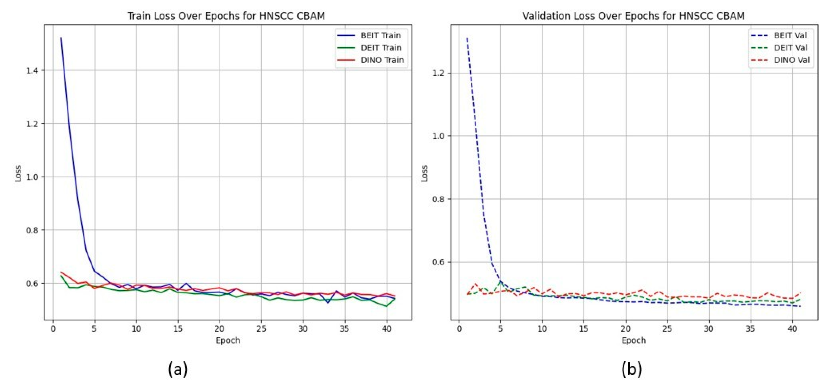 Cancers 17 02115 g002