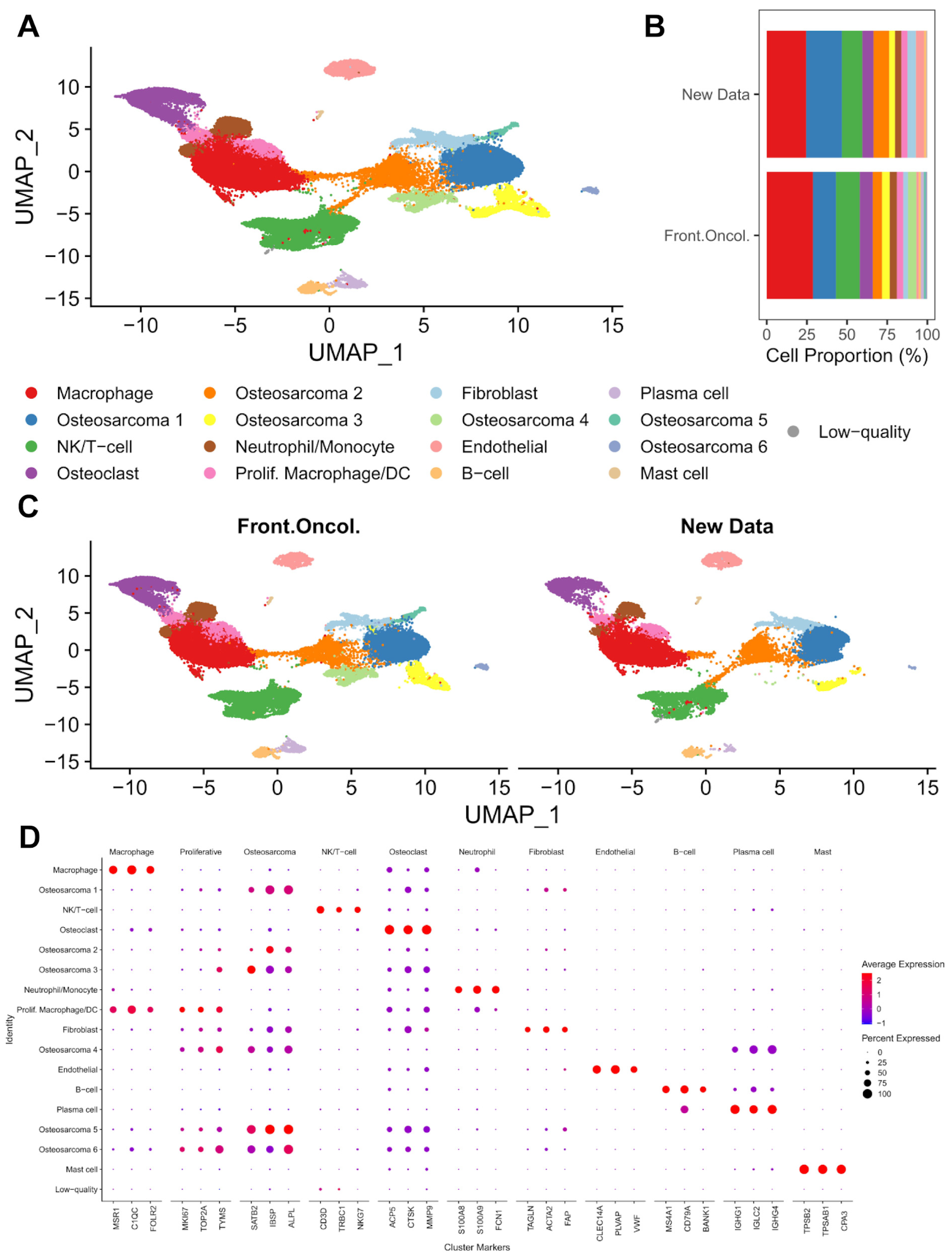 Cancers 17 02117 g001