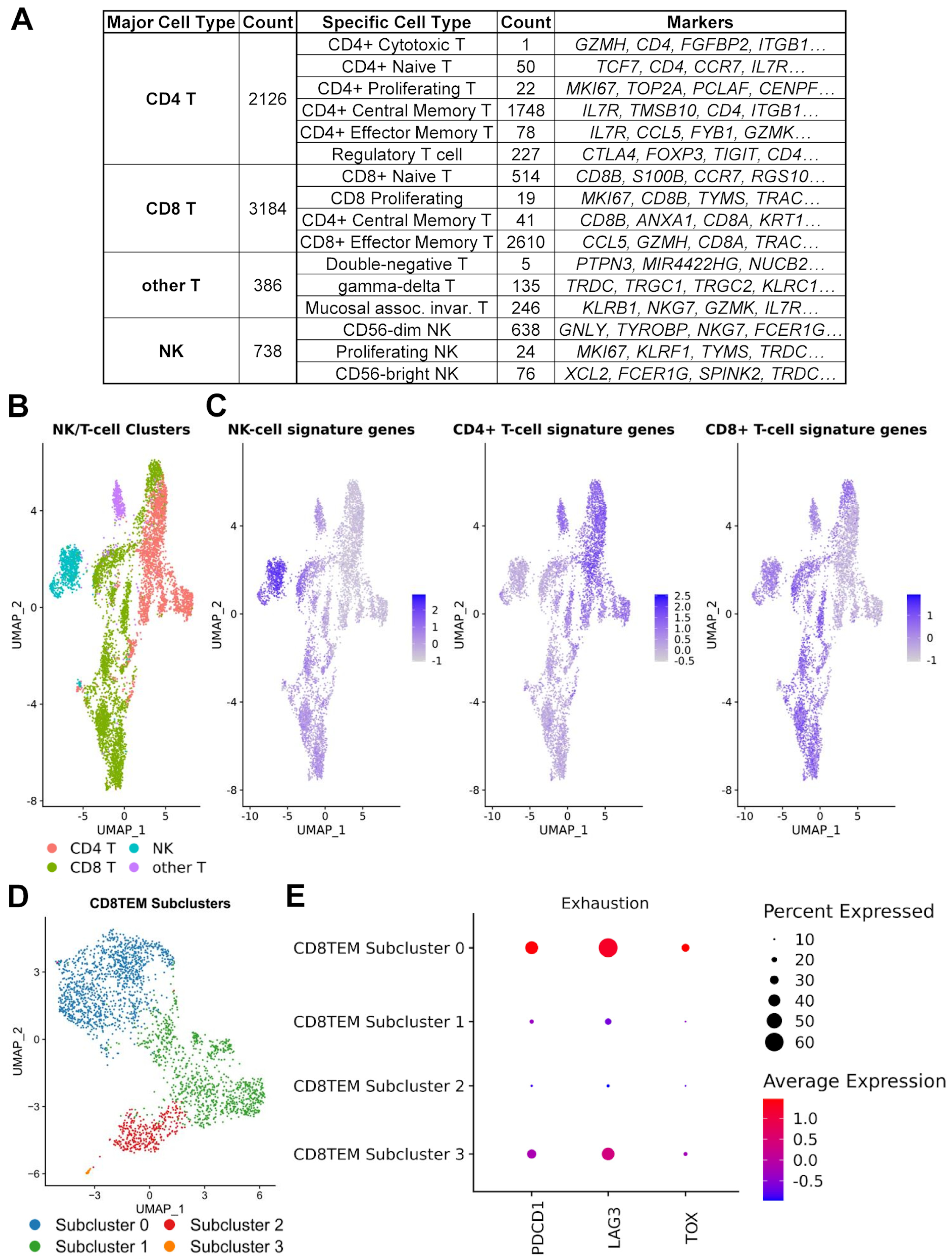 Cancers 17 02117 g004