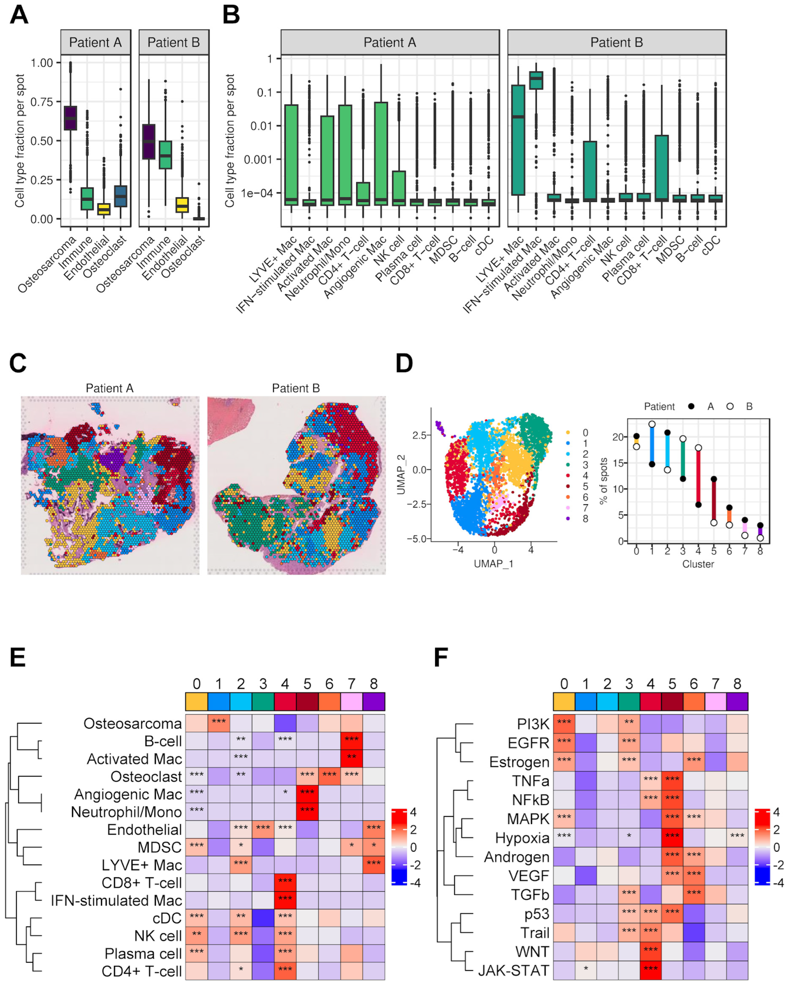 Cancers 17 02117 g006