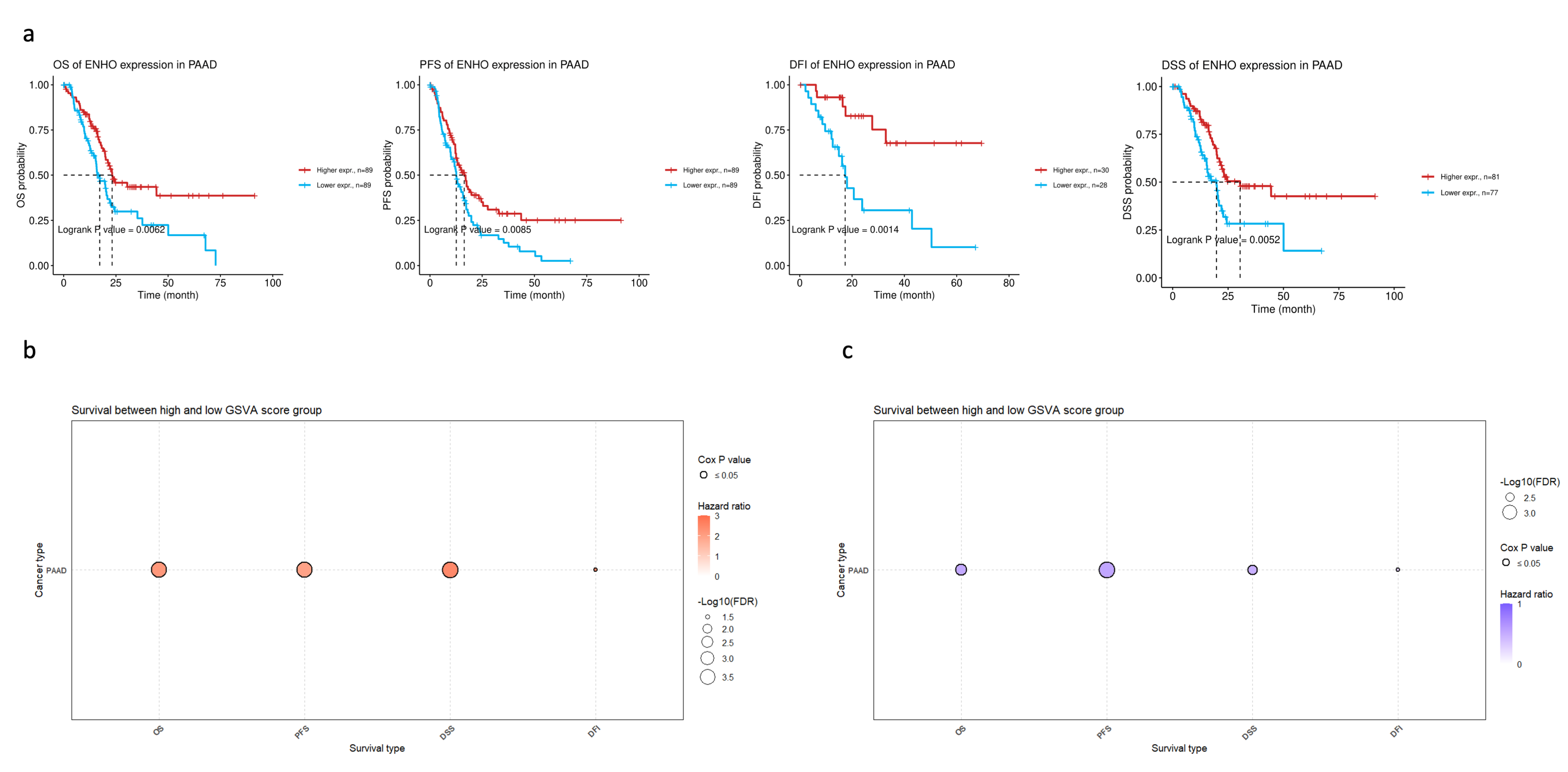 Cancers 17 02139 g002