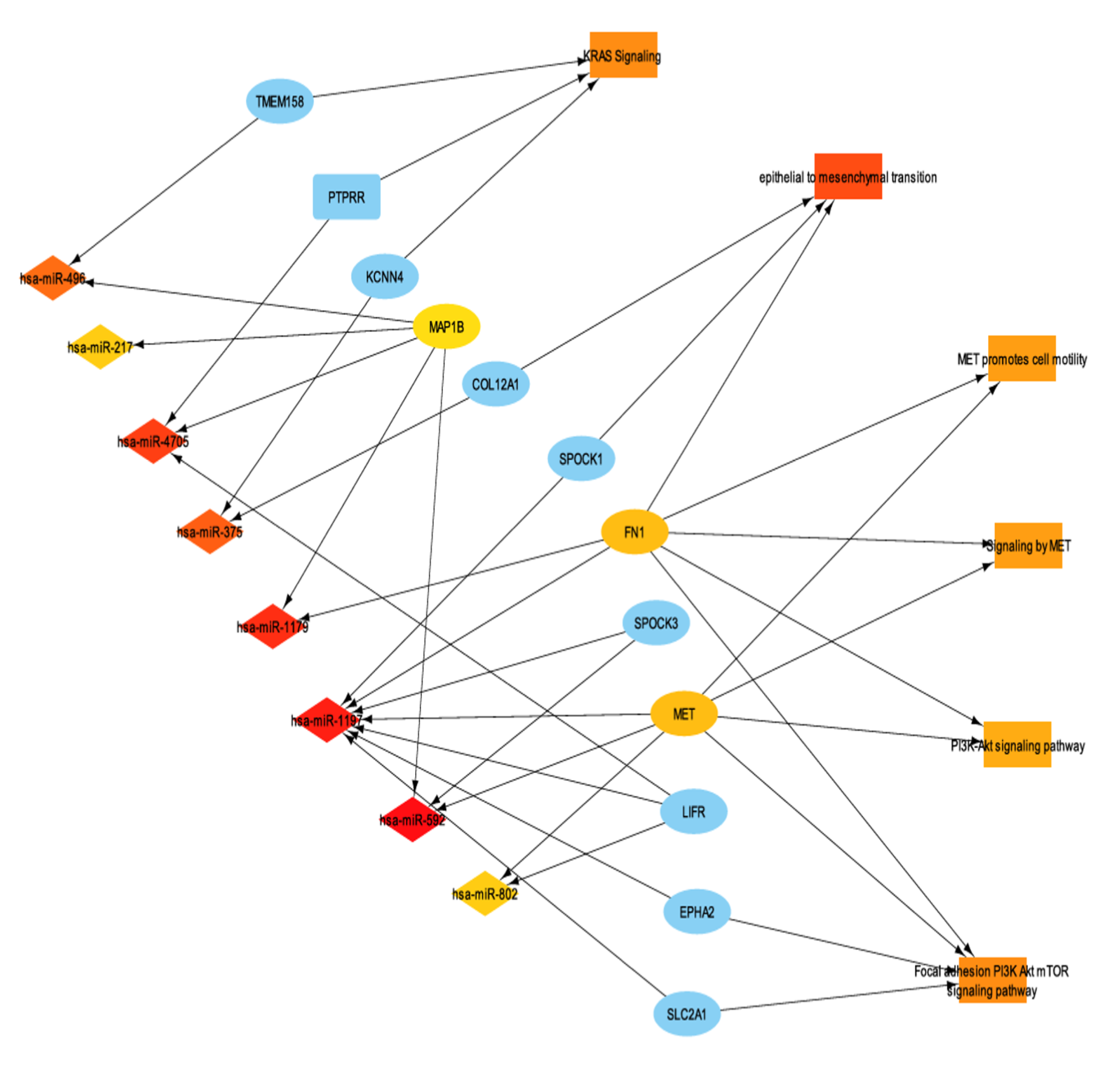 Cancers 17 02139 g007